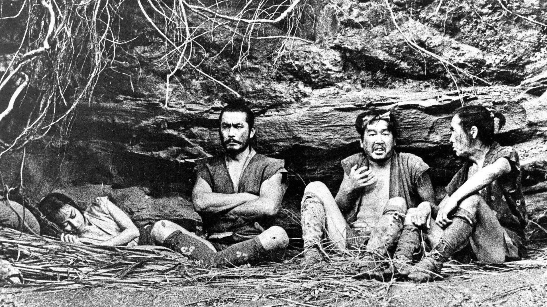 Fortăreața ascunsă