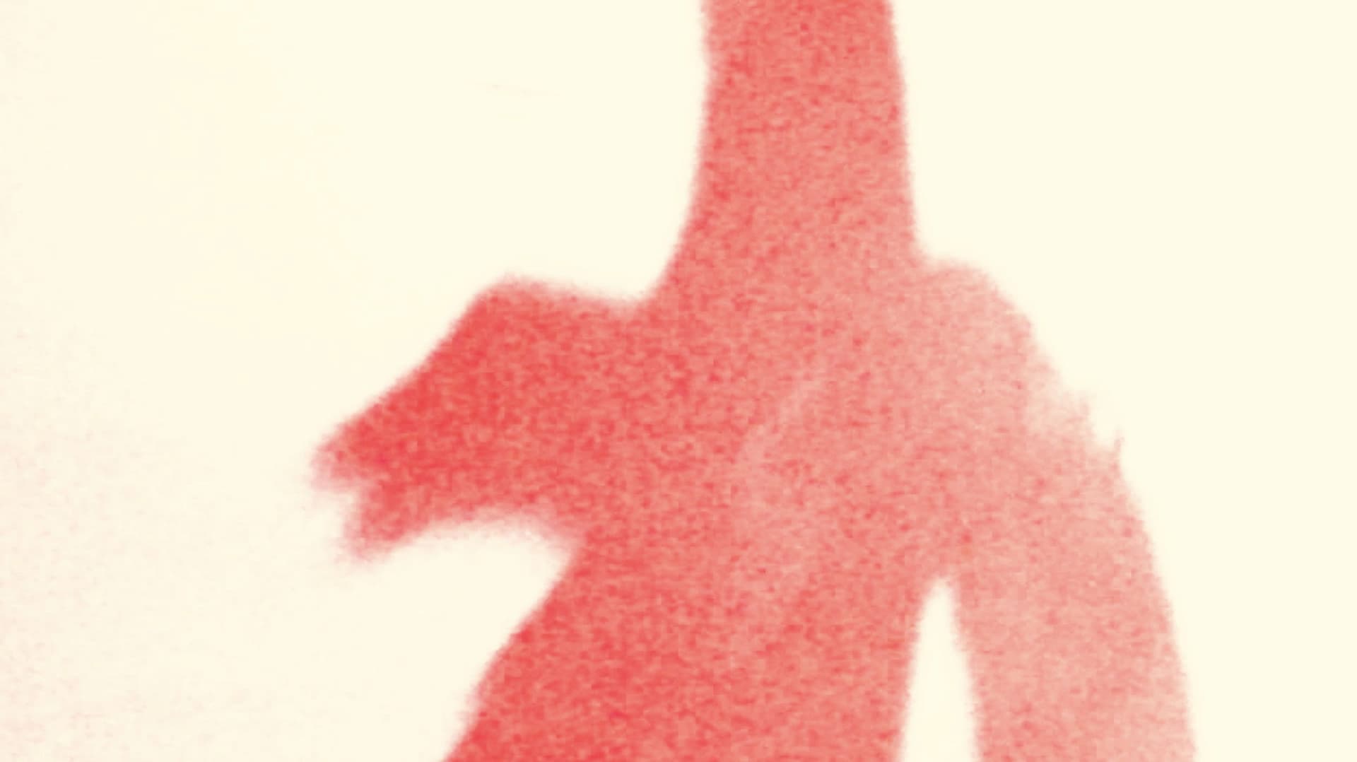 Olivia enseñándome todos los animales que hay en la pared