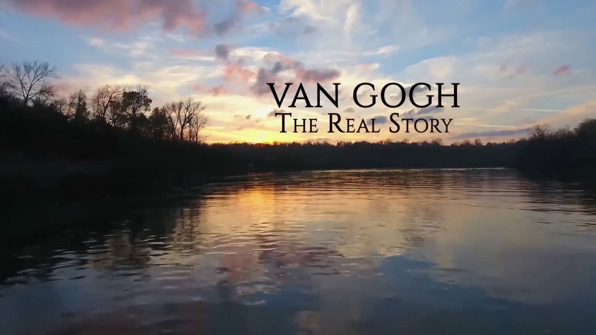 Van Gogh: The Real Story