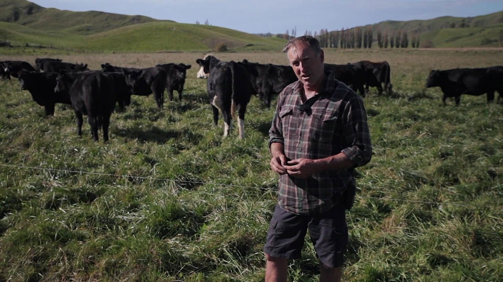 Trăind schimbarea: Povești inspiratoare pentru un viitor susținător