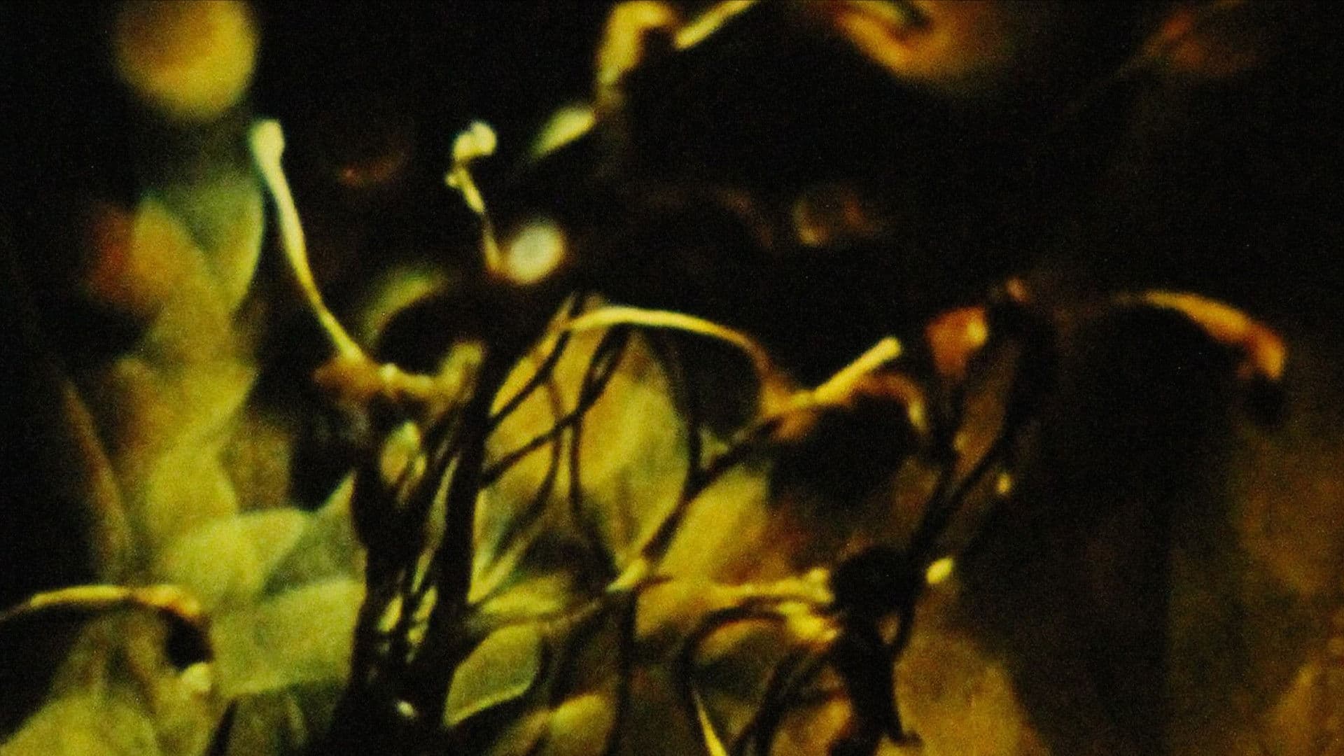 A Study in Natural Magic