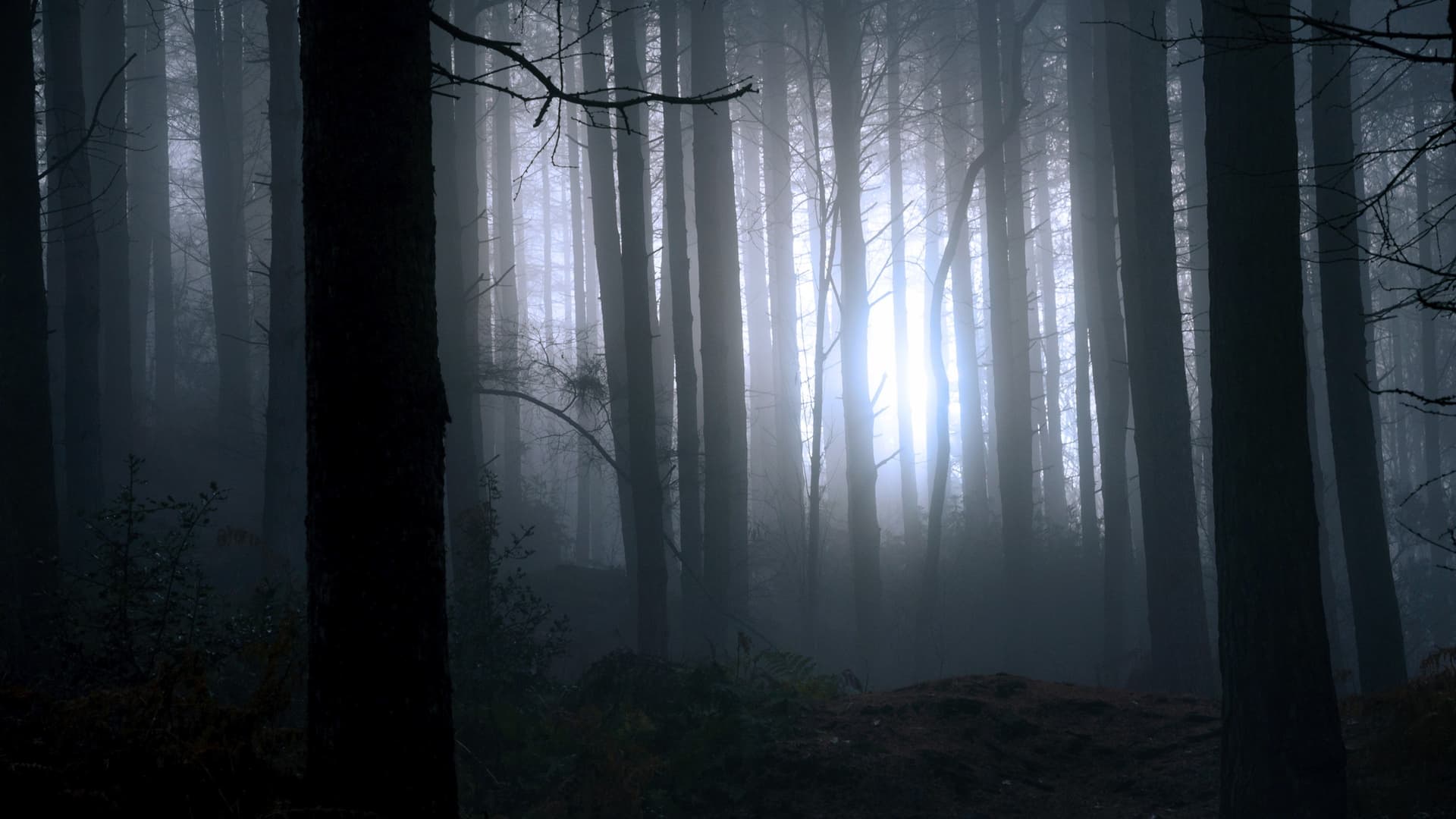 Găsind-ul pe Talpă mare