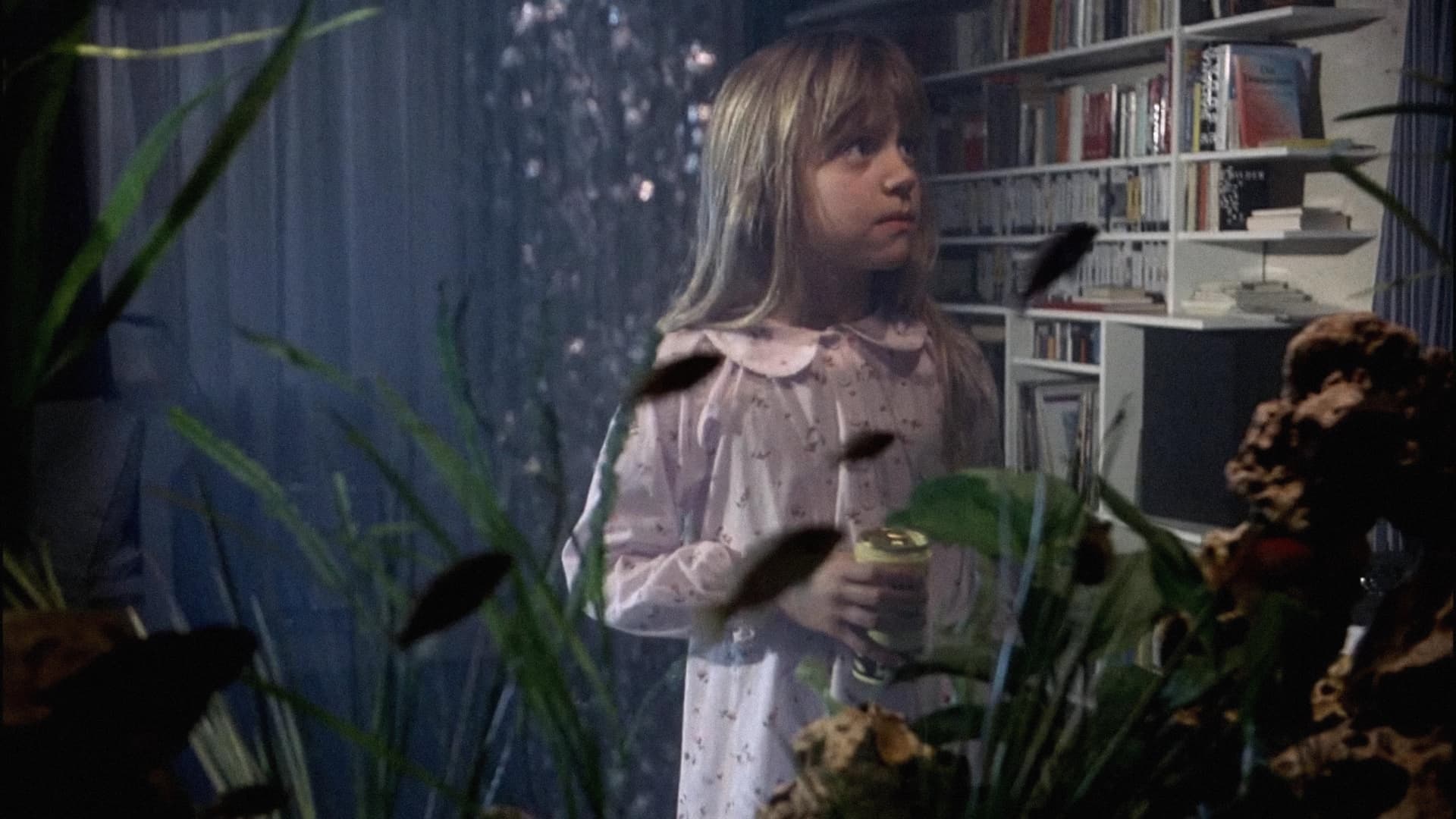 Al șaptelea continent