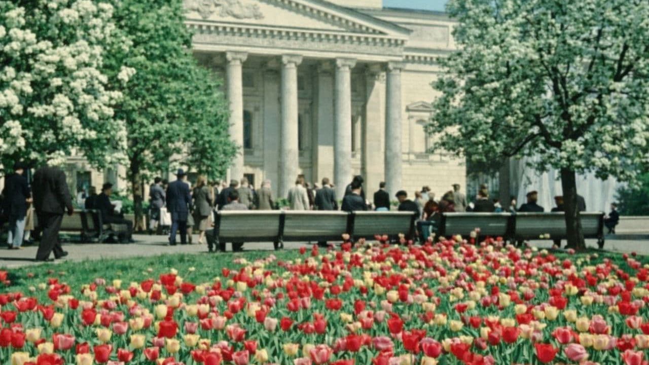 О Москве и москвичах