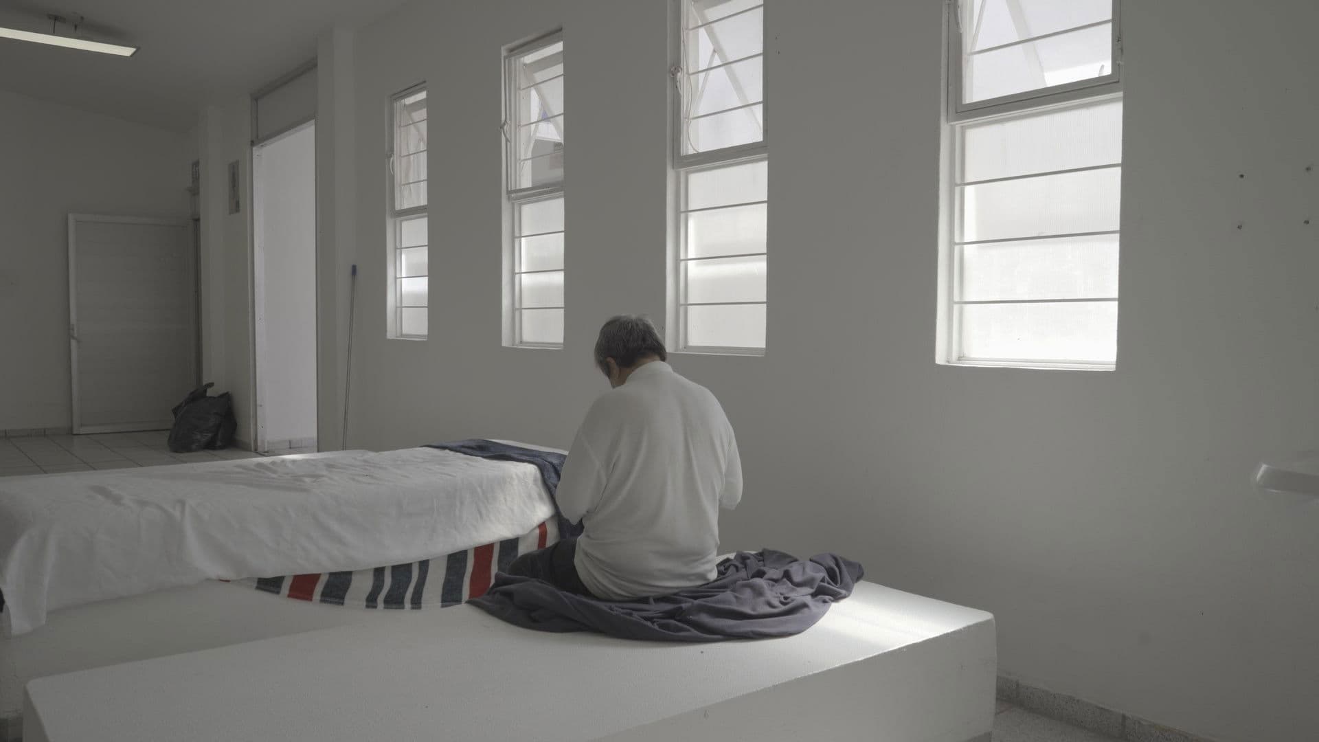 Albatros (Nuestro Reino)