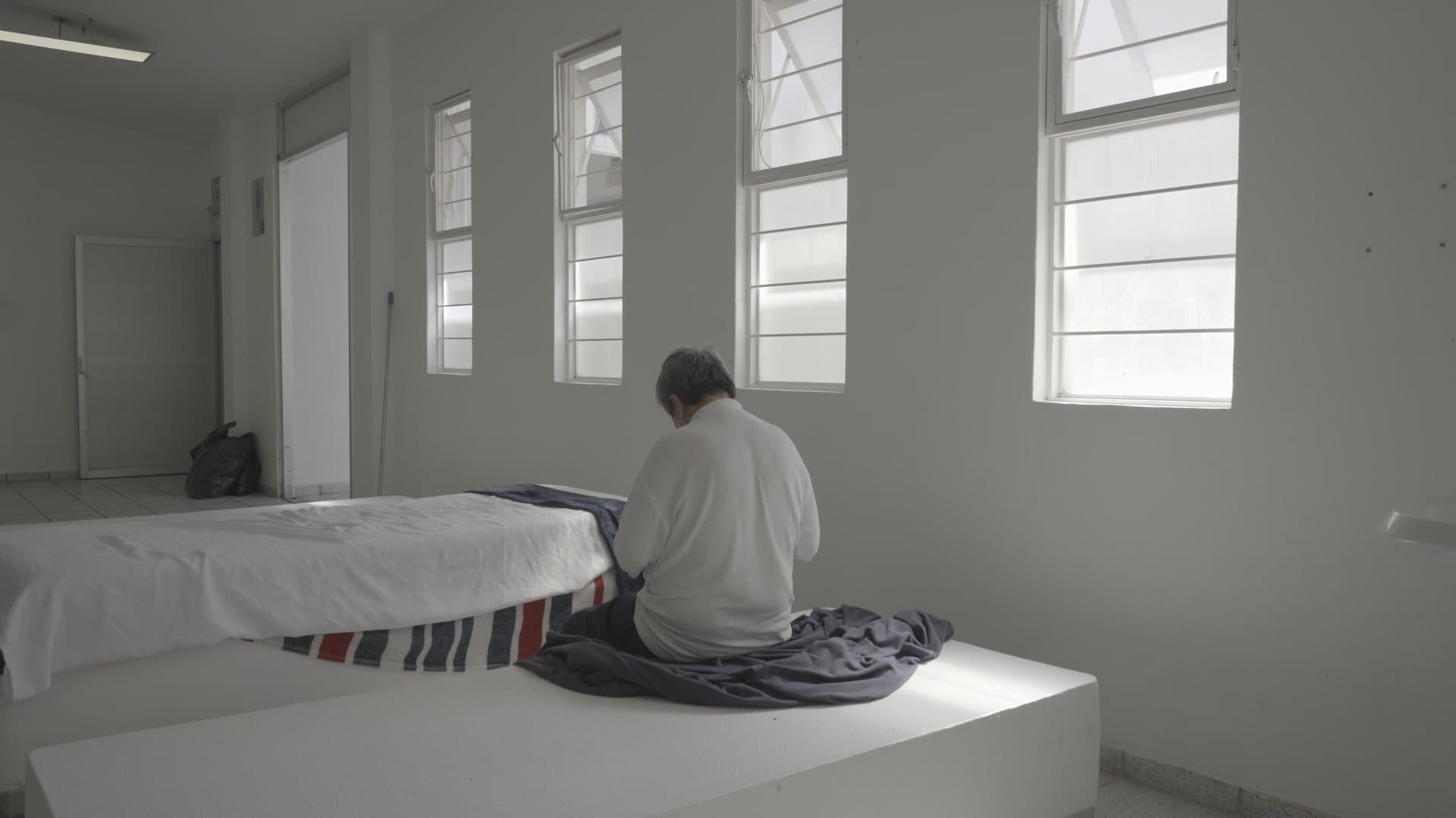 Albatros (Nuestro Reino)