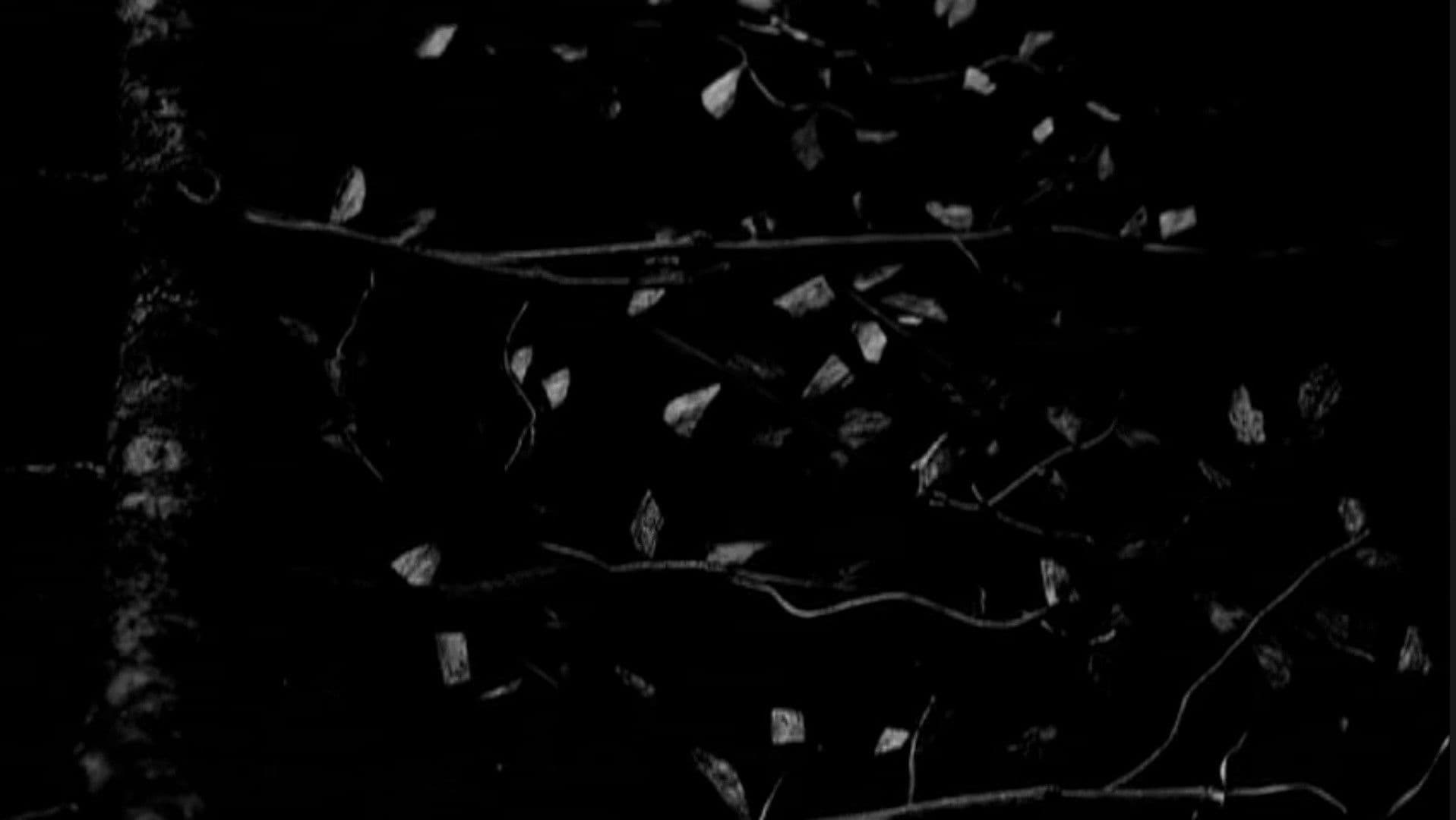 Gojira: Live at Garorock