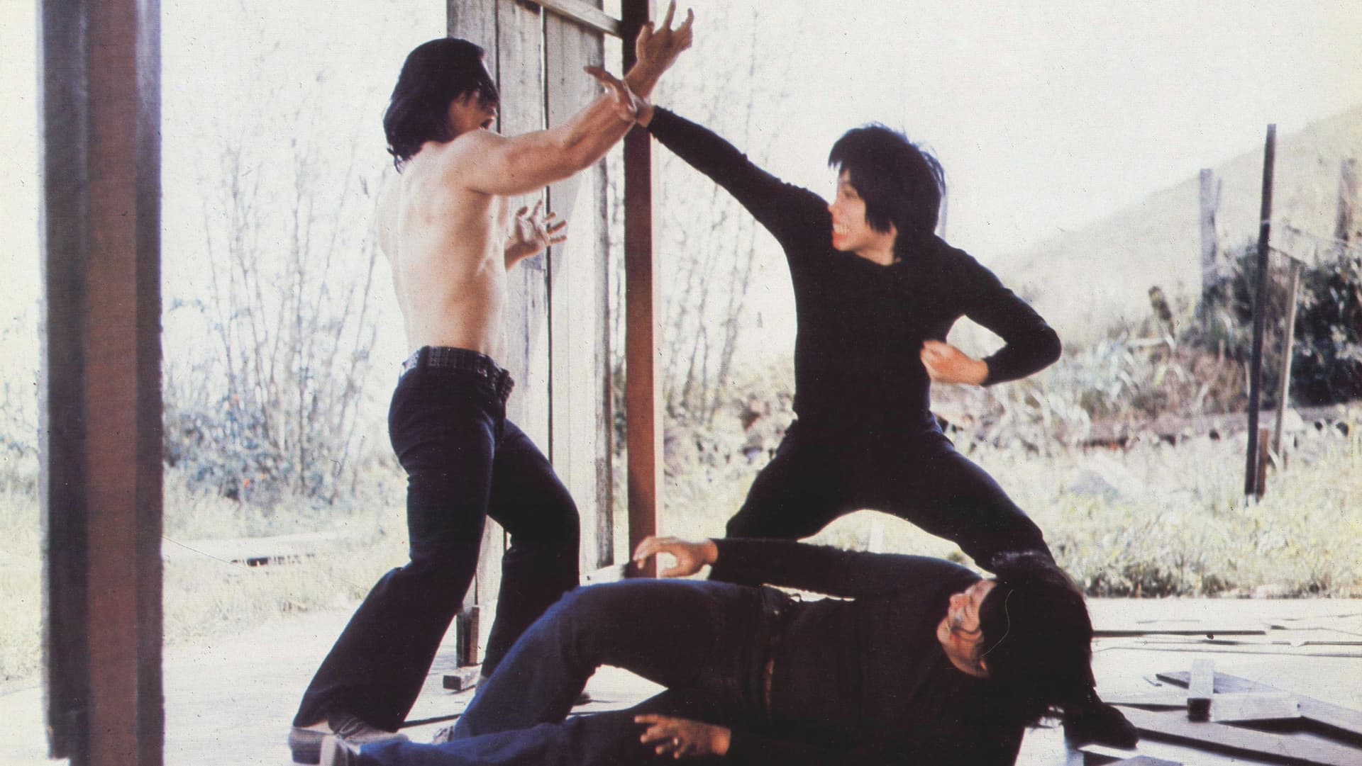 香港超人大破摧花黨