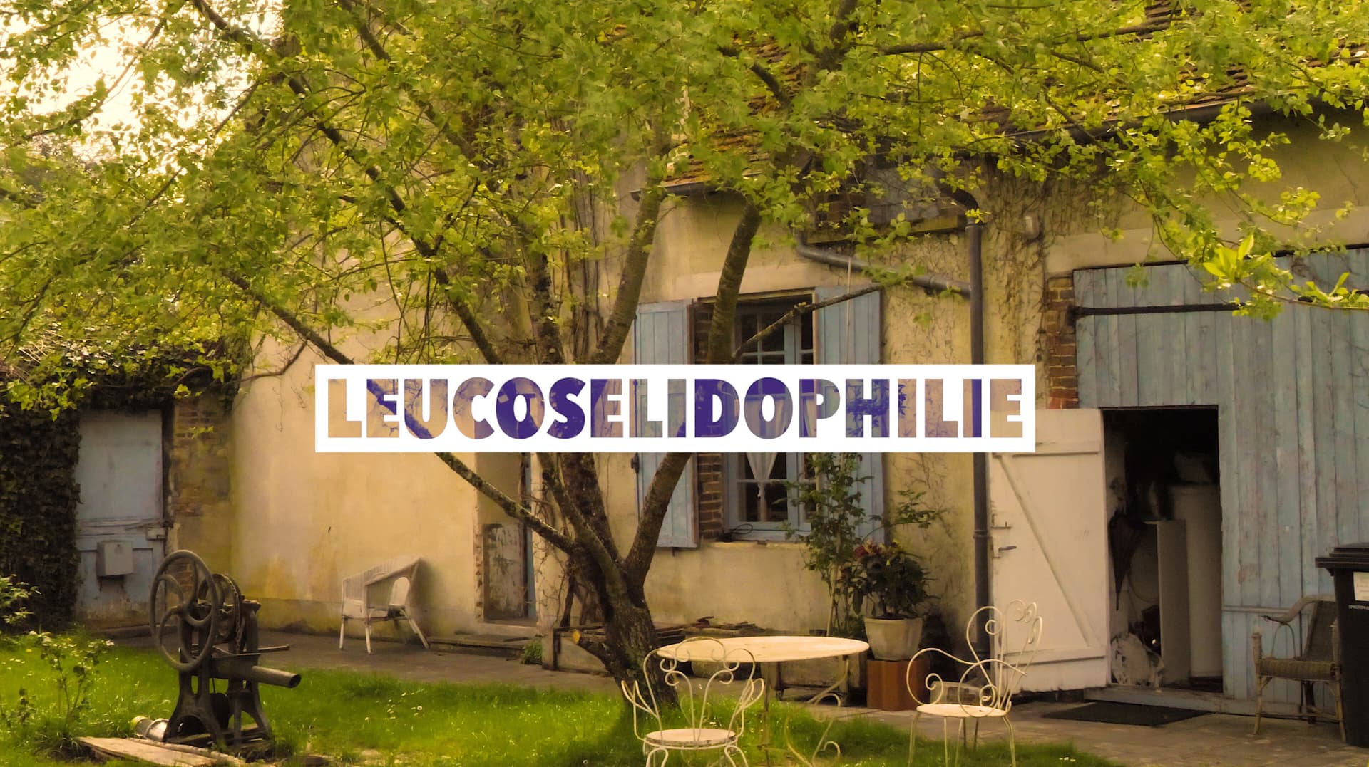 Leucosélidophilie