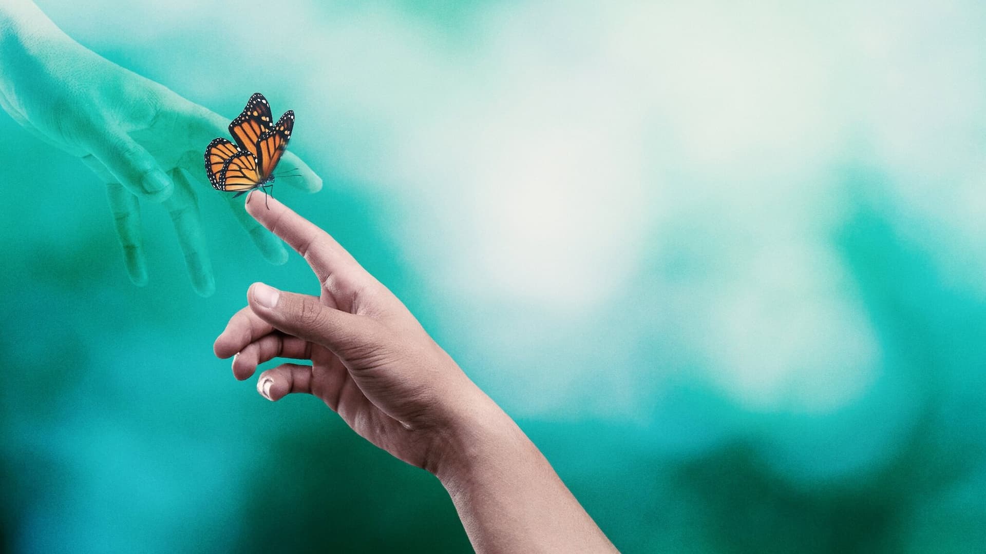 Supraviețuind morții