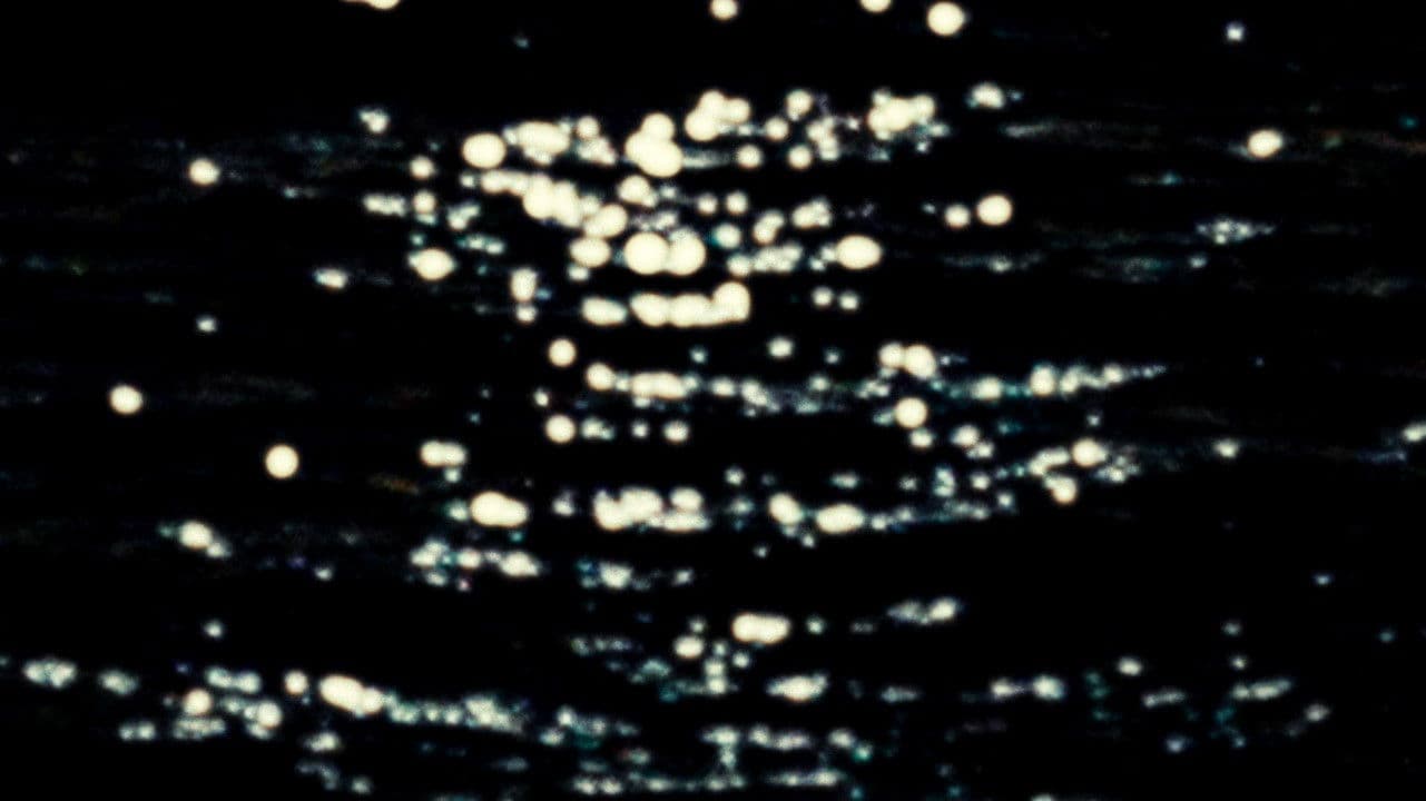 A voz de todas as cousas