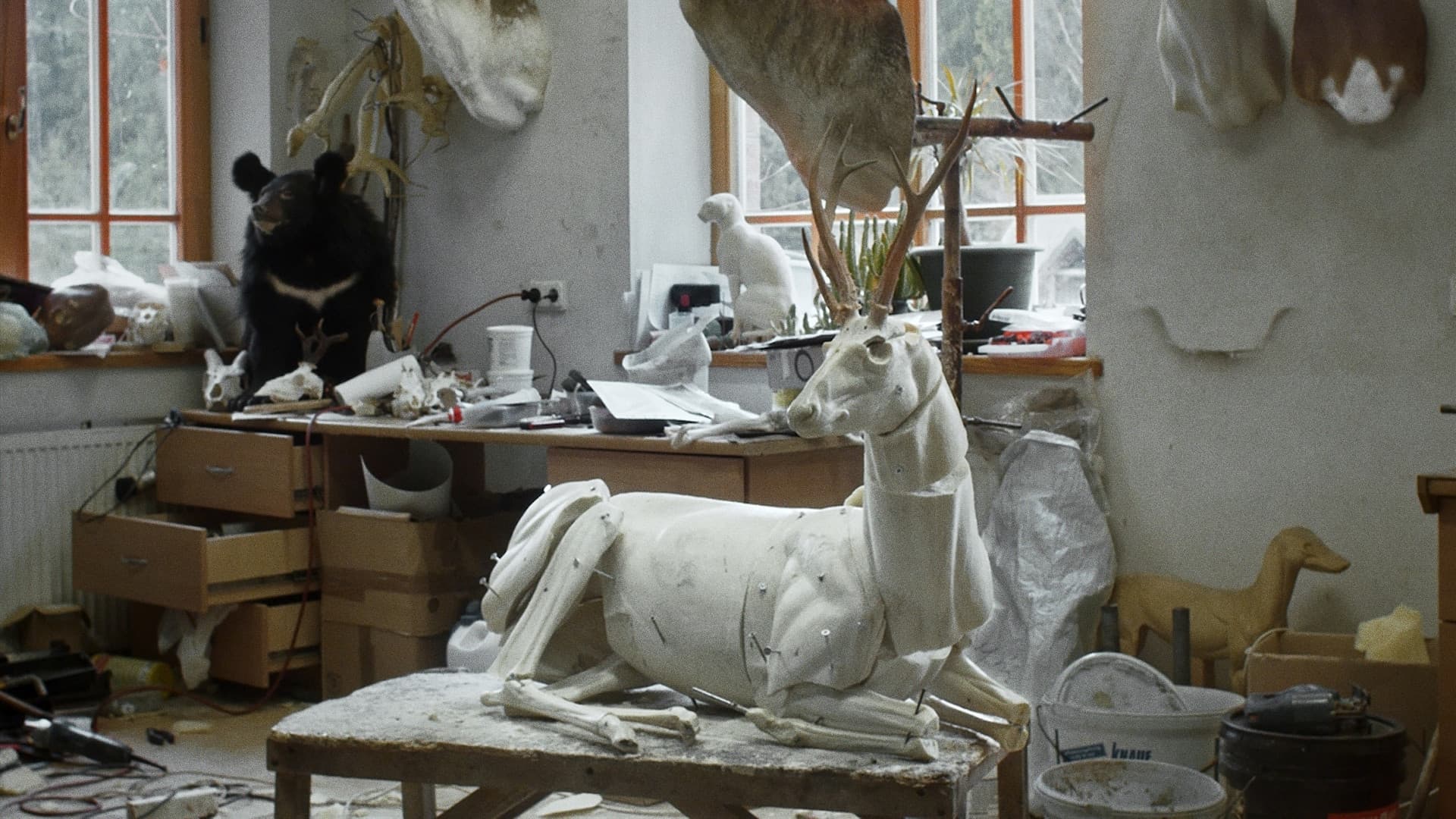 Animus Animalis (istorija apie žmones, žvėris ir daiktus)