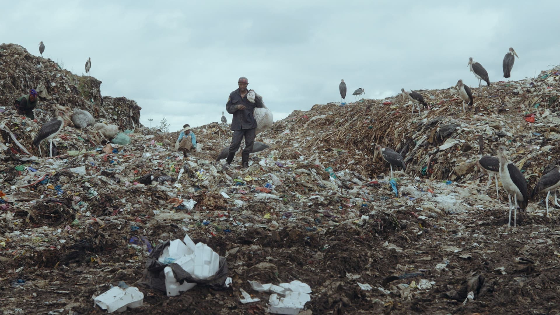 Terra Mater - Motherland