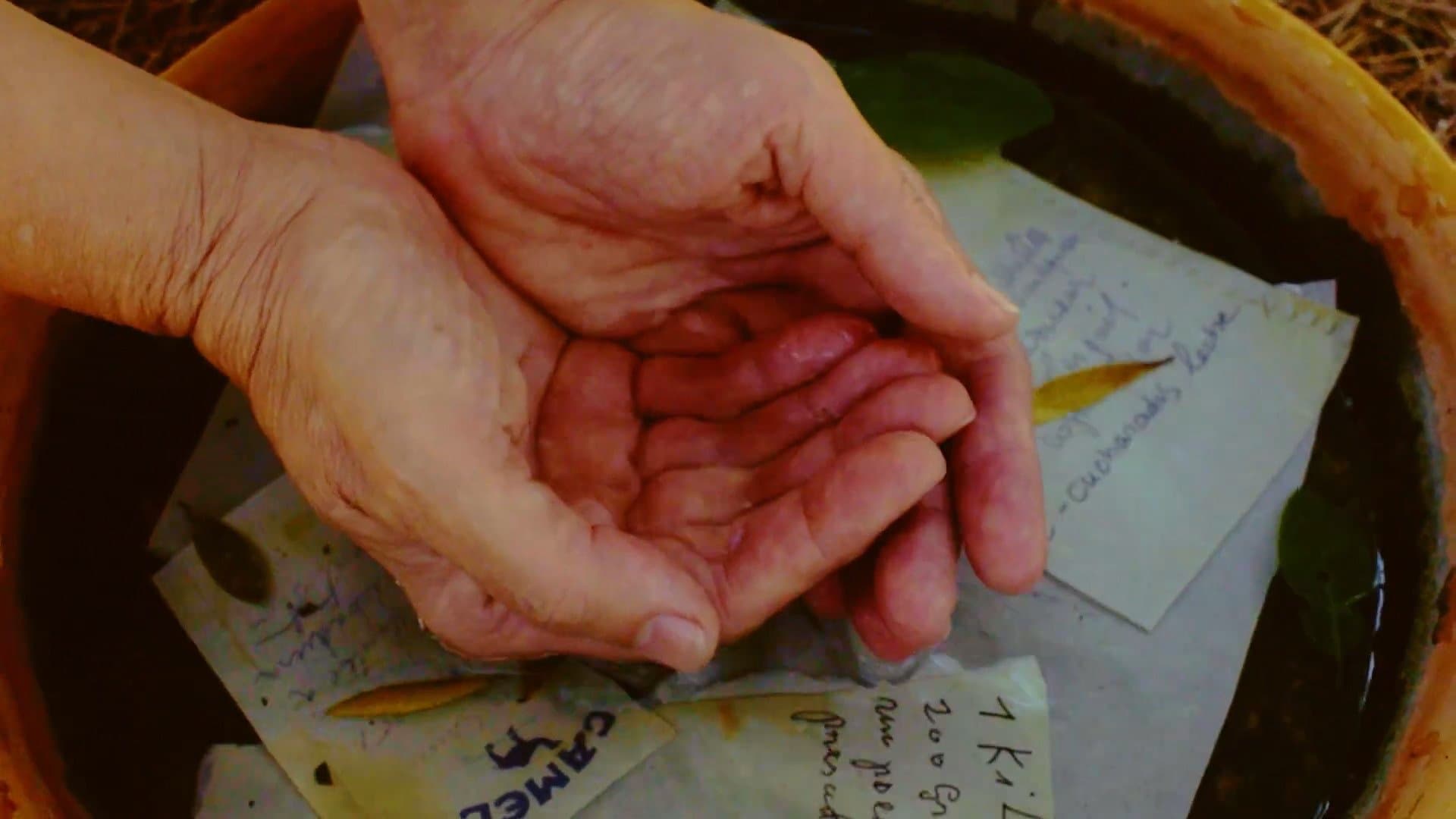 Un jardí de paraules