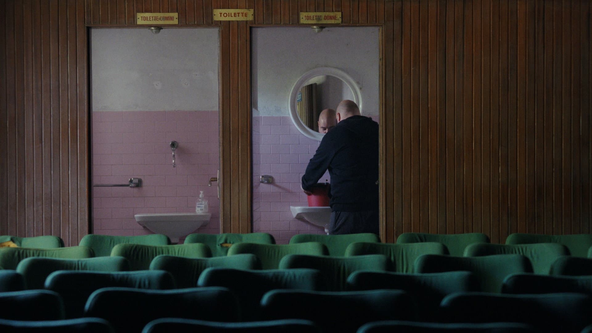 Come ci si sente a essere un pipistrello