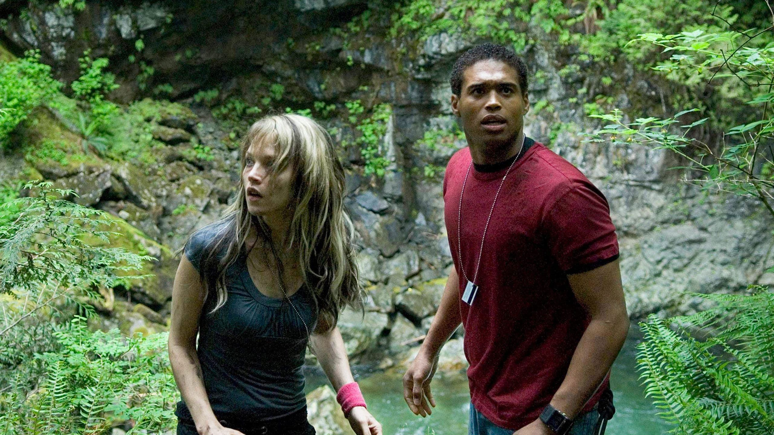 Drum interzis 2: Fundătura