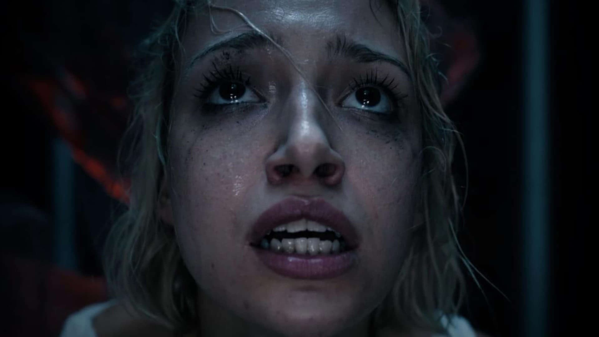 Martwi przed świtem