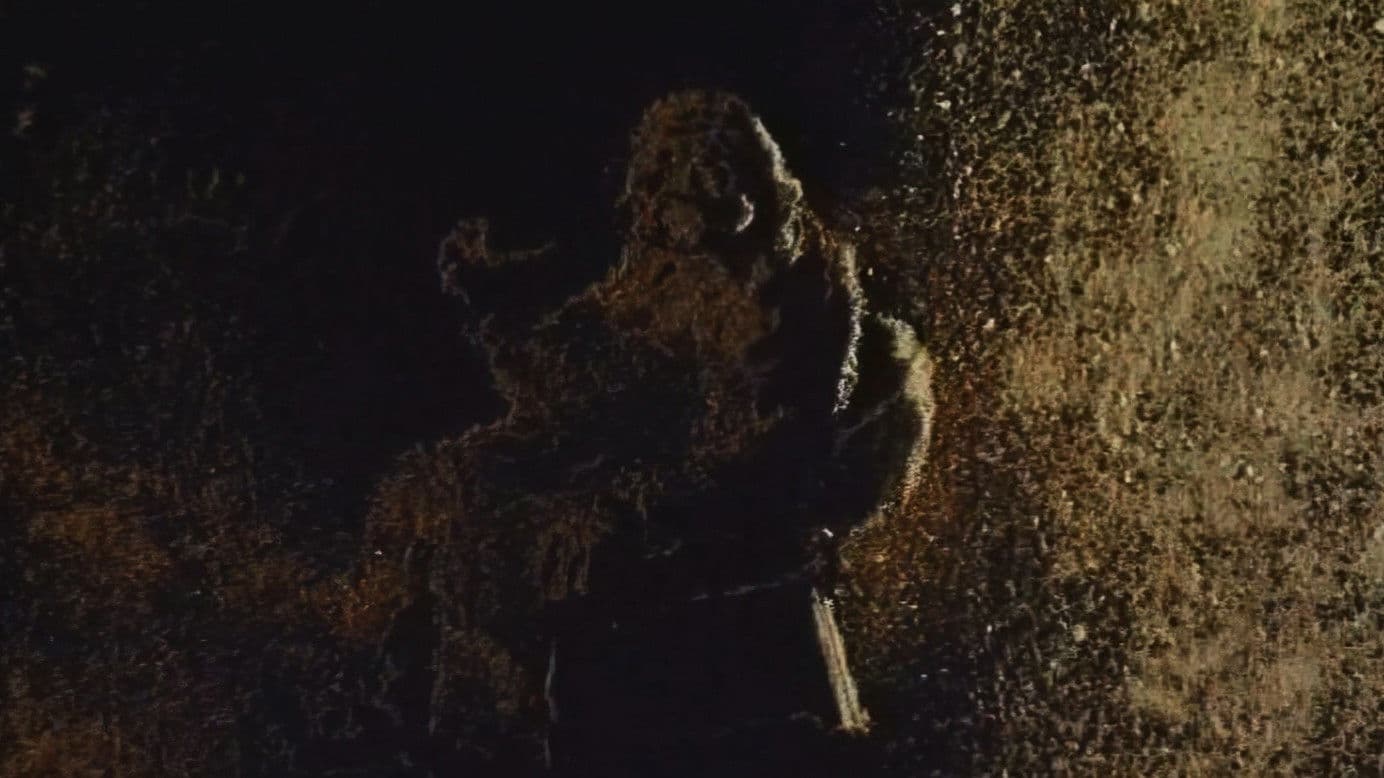 Засипле сніг дороги…