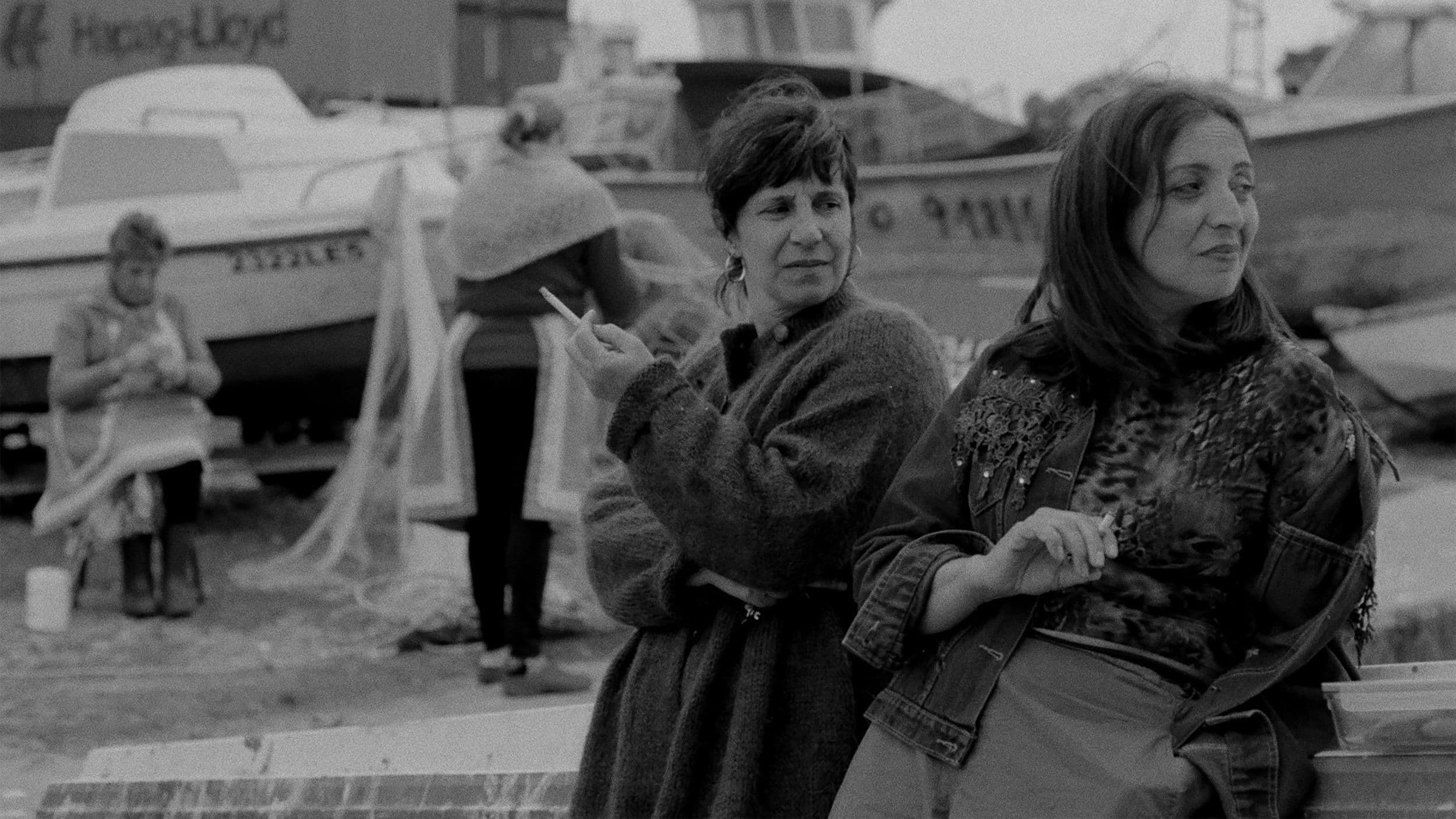 As Gaivotas Cortam o Céu