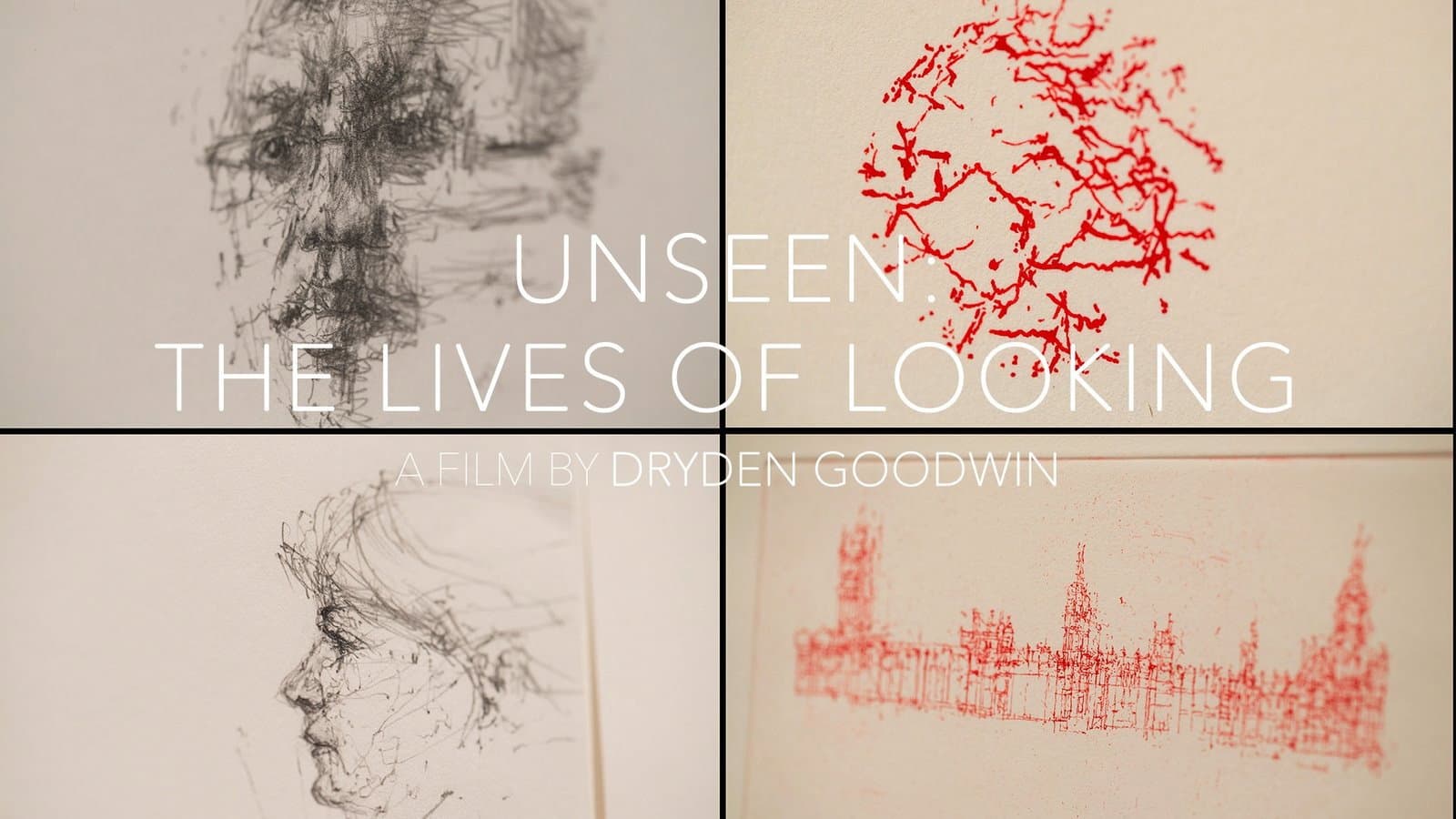 Unseen: The Lives of Looking