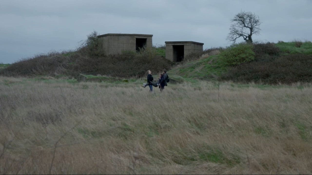 The Extraordinary Marvel of Francesco Linguine