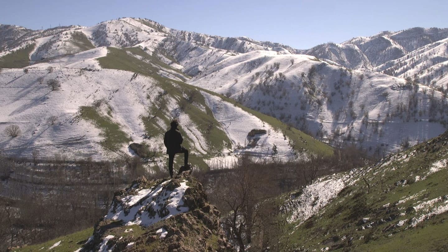 خەونەکانی شاعیرێکی مردوو