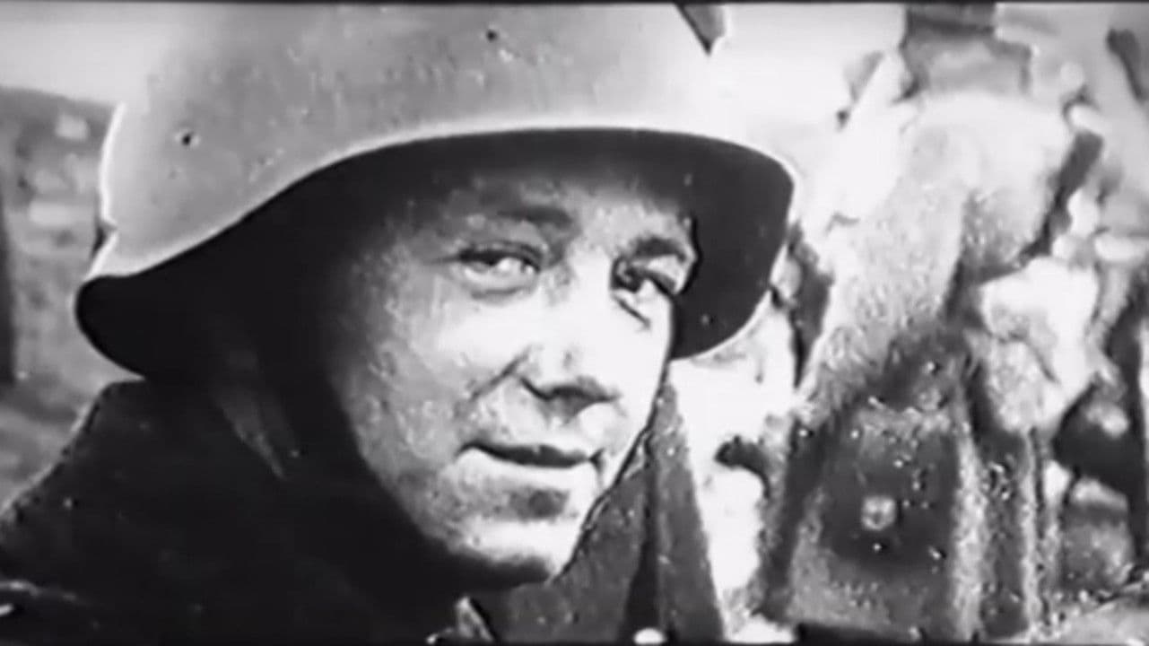 Город в осаде