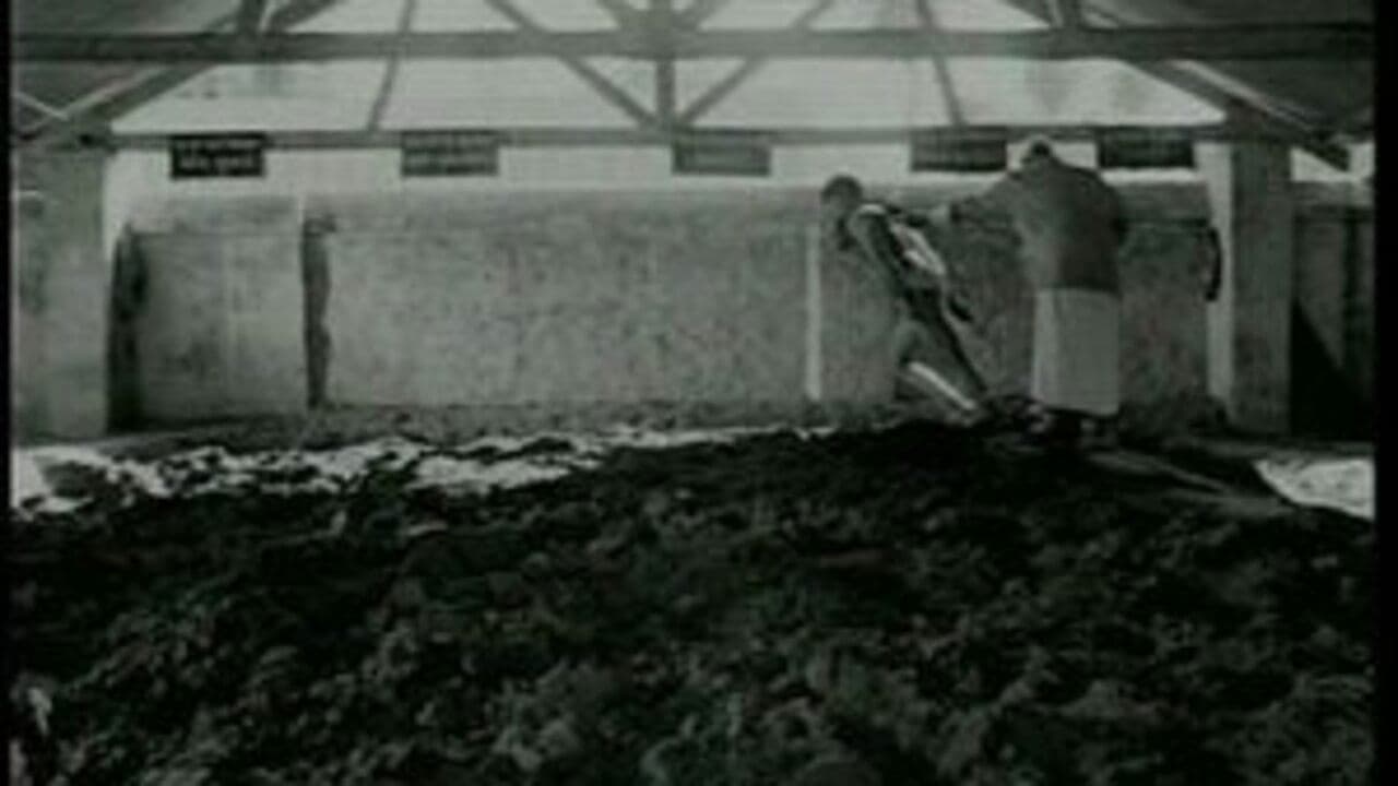 Matti Ke Lal, fils de la terre