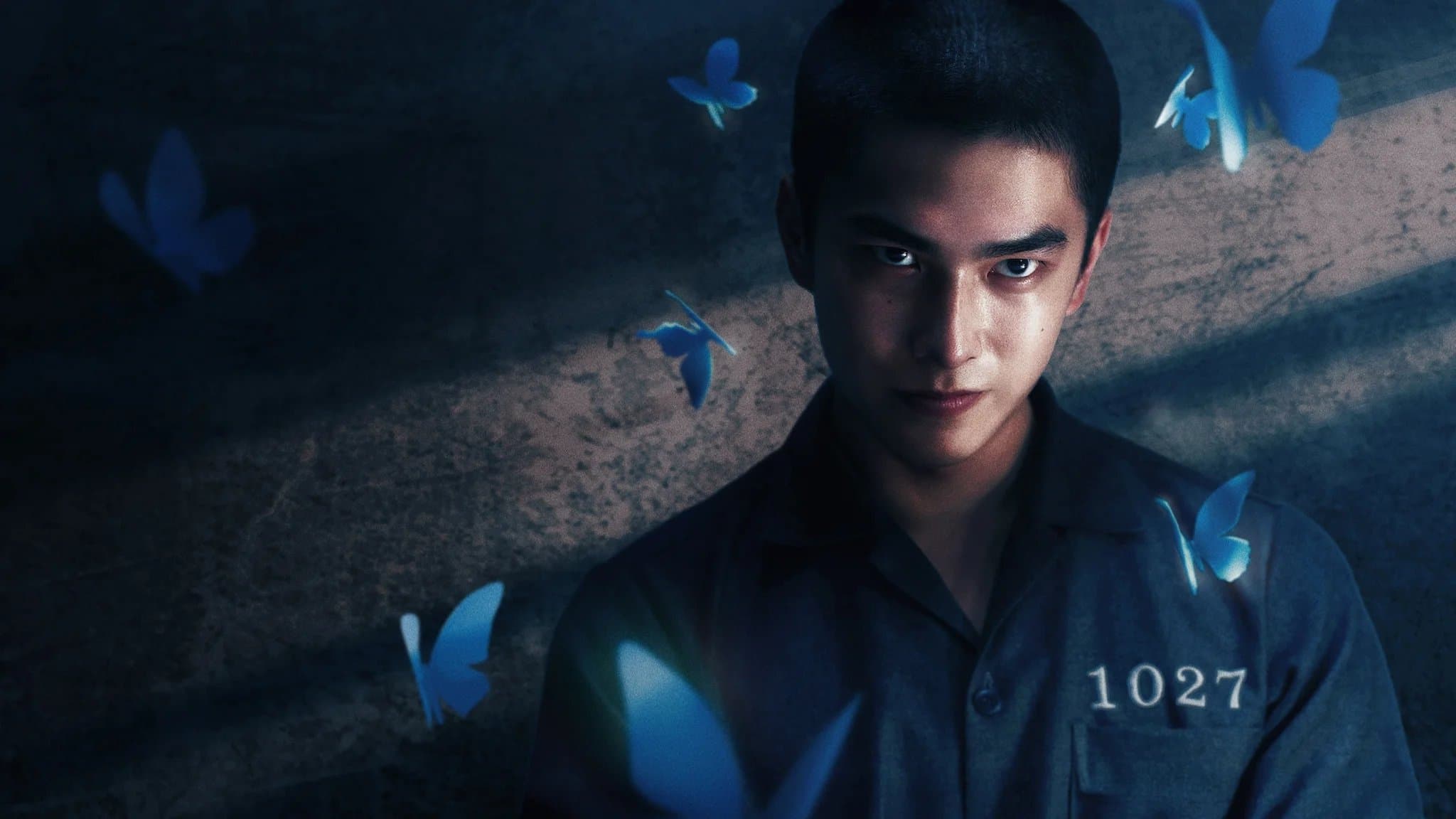 如果我不曾見過太陽