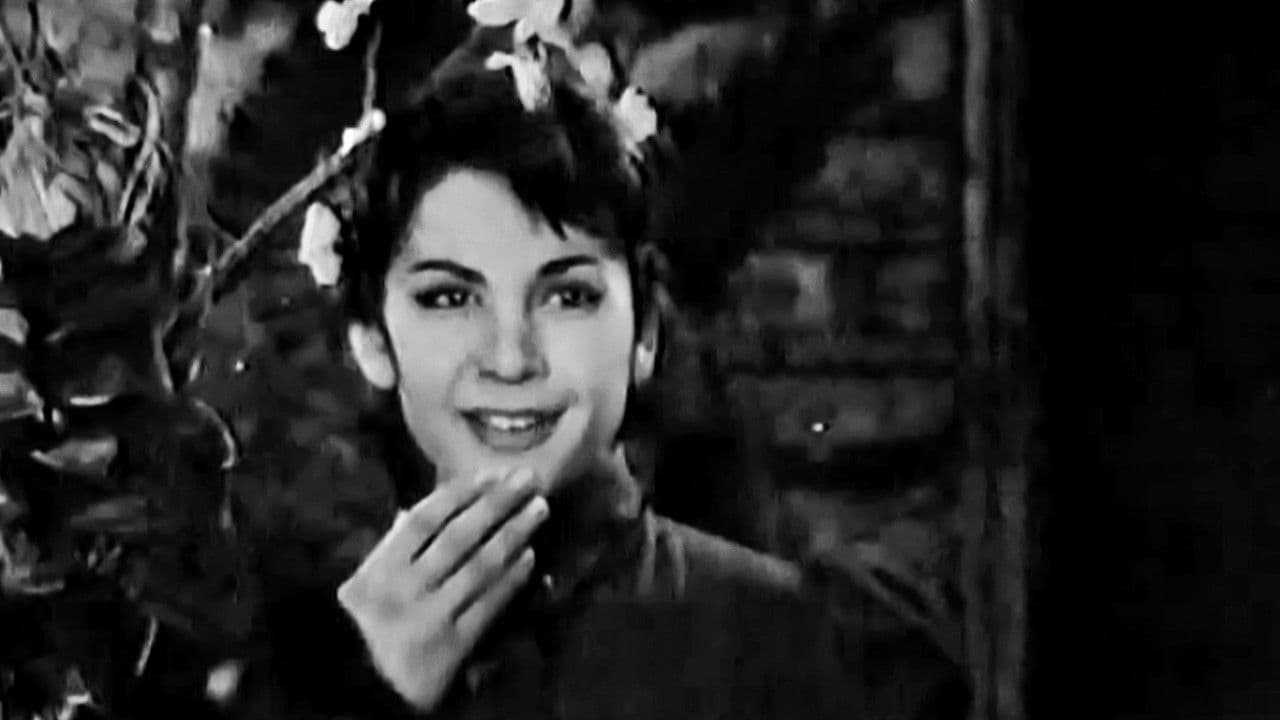 Ανθισμένη Αμυγδαλιά