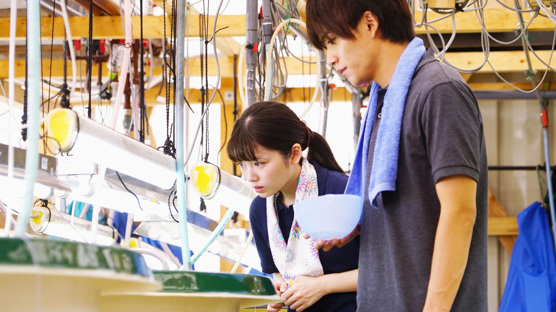 Fata și ferma de ton