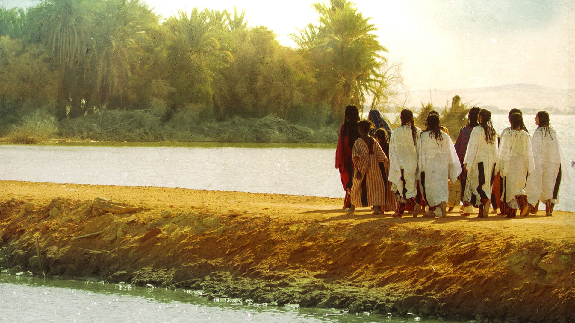 واحة الغروب