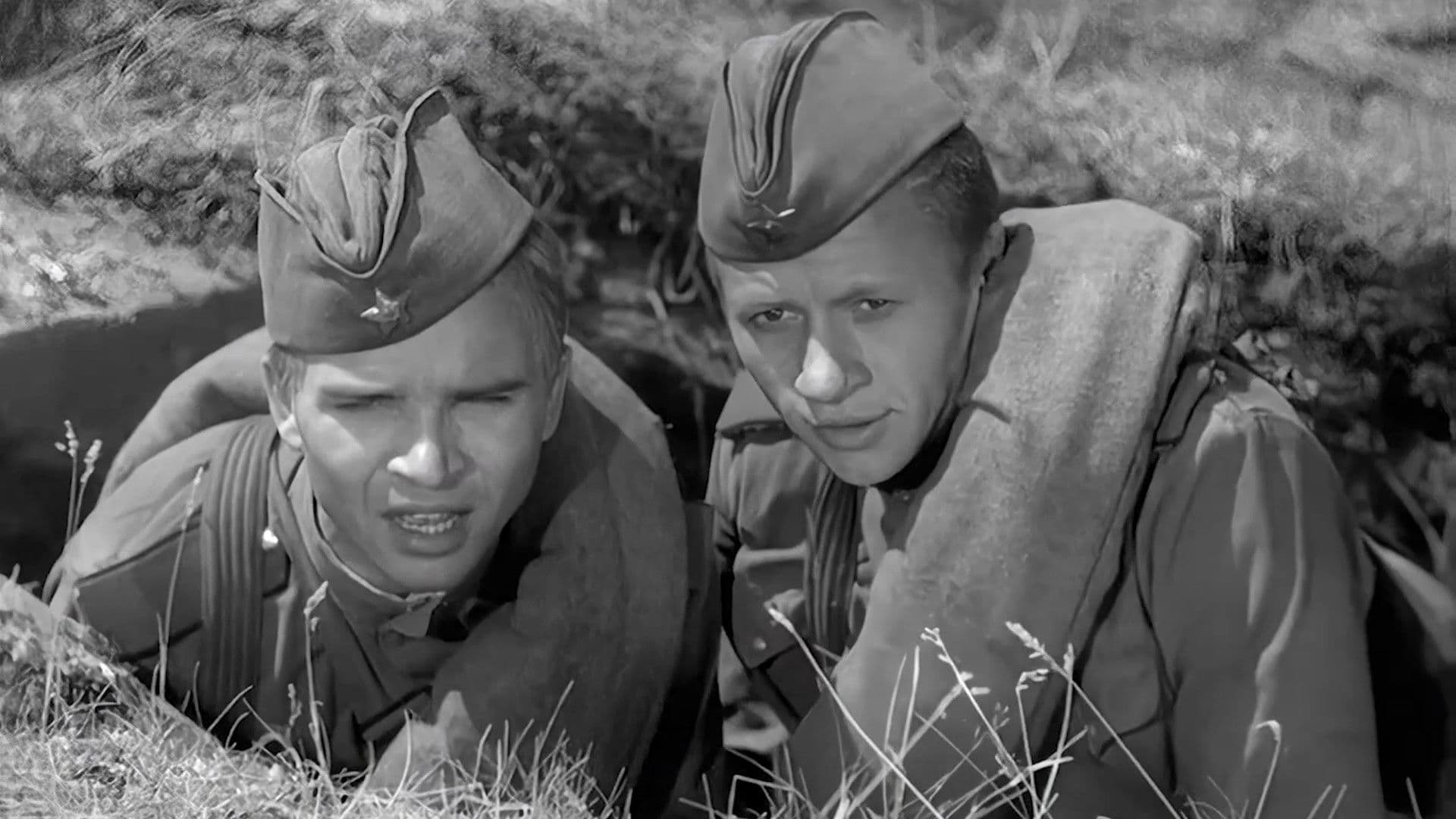 Максим Перепелица