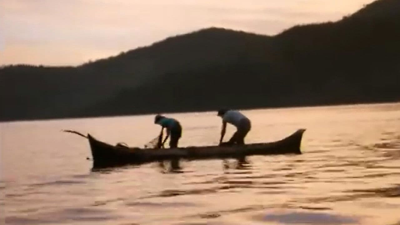 Paraty - Impressões
