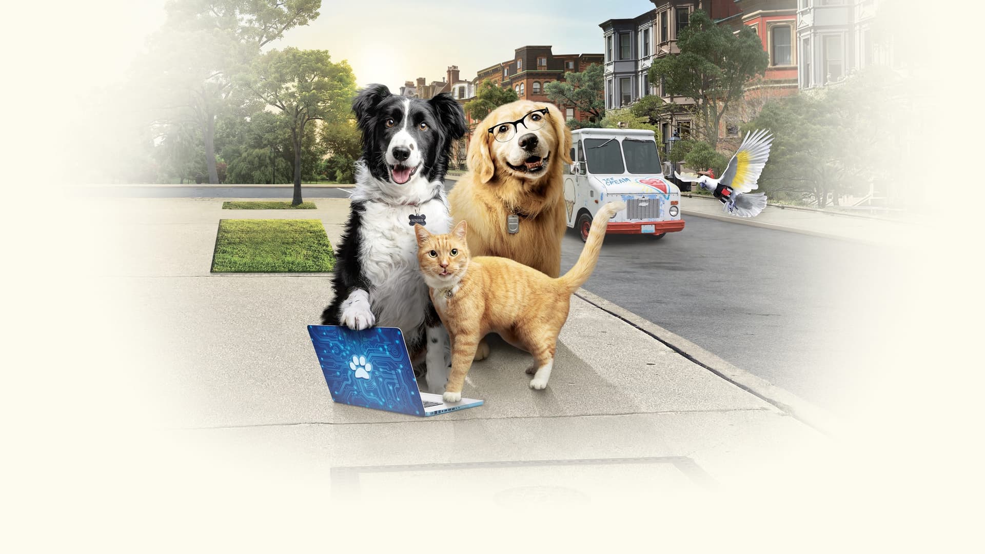 Câini și pisici 3: Lăbuțe unite