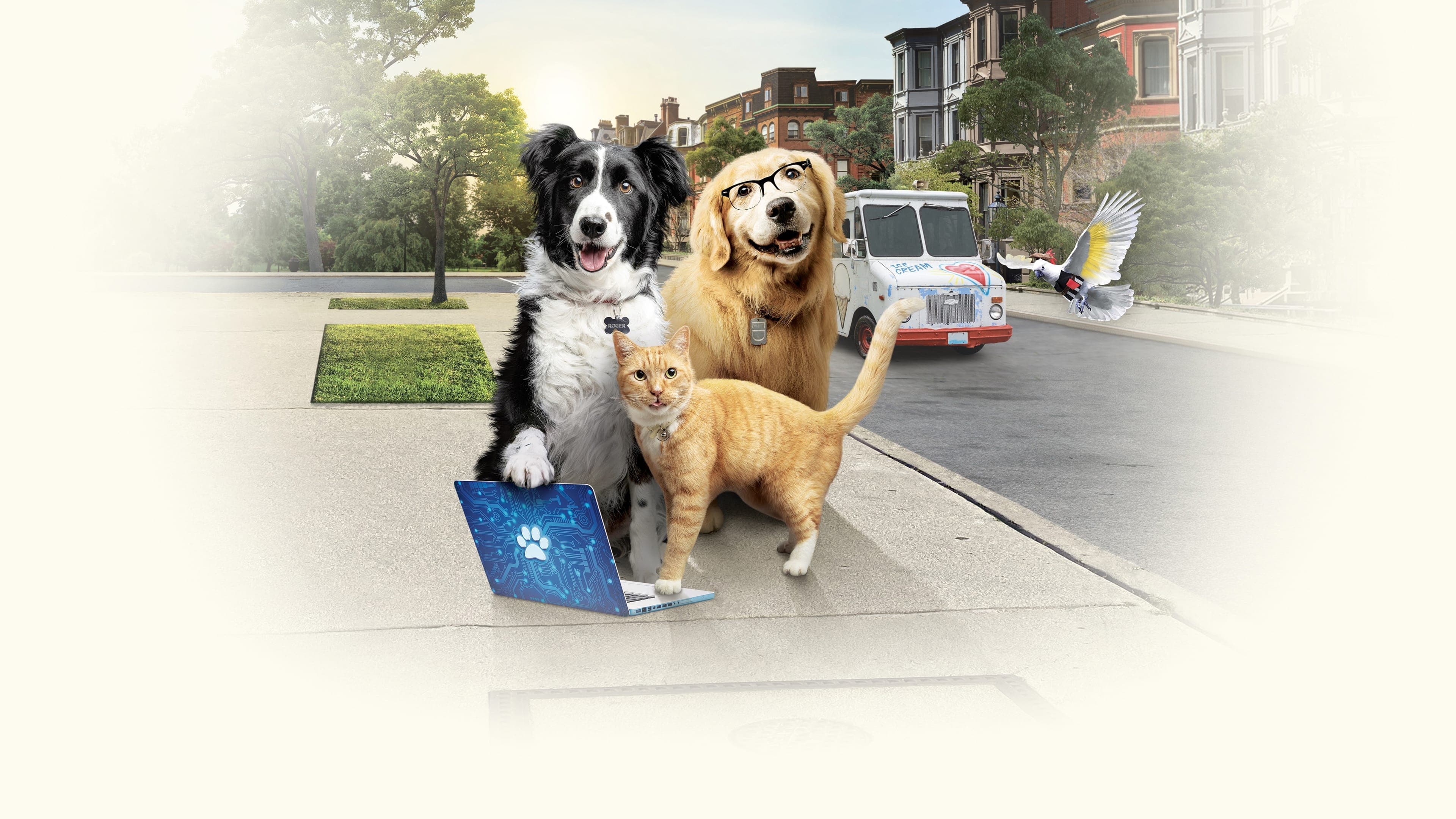 Câini și pisici 3: Lăbuțe unite