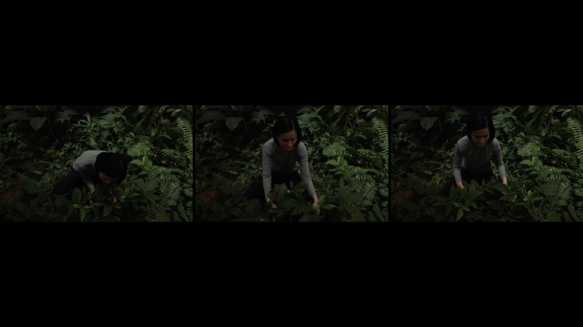 Anitya (Impermanence)