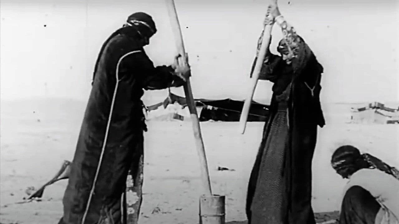 فيلم محاولة عن سد الفرات