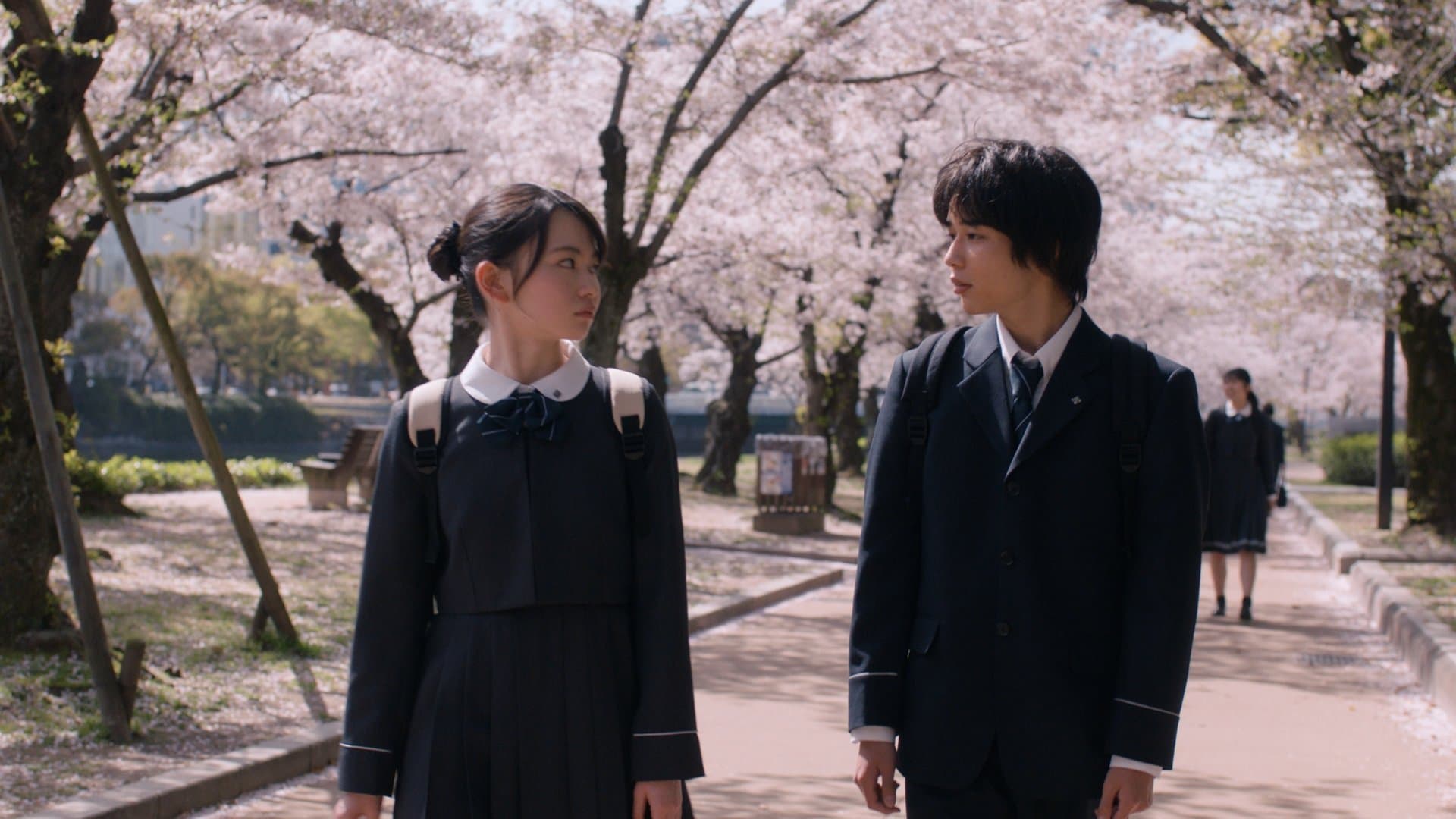 HOMESTAY (ホームステイ)