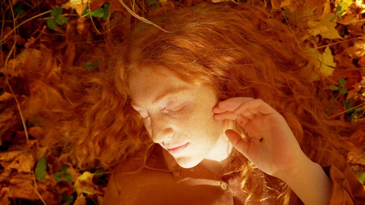 Դու ինձ դեռ սիրում ես, այդպես չէ՞ Հայրիկ