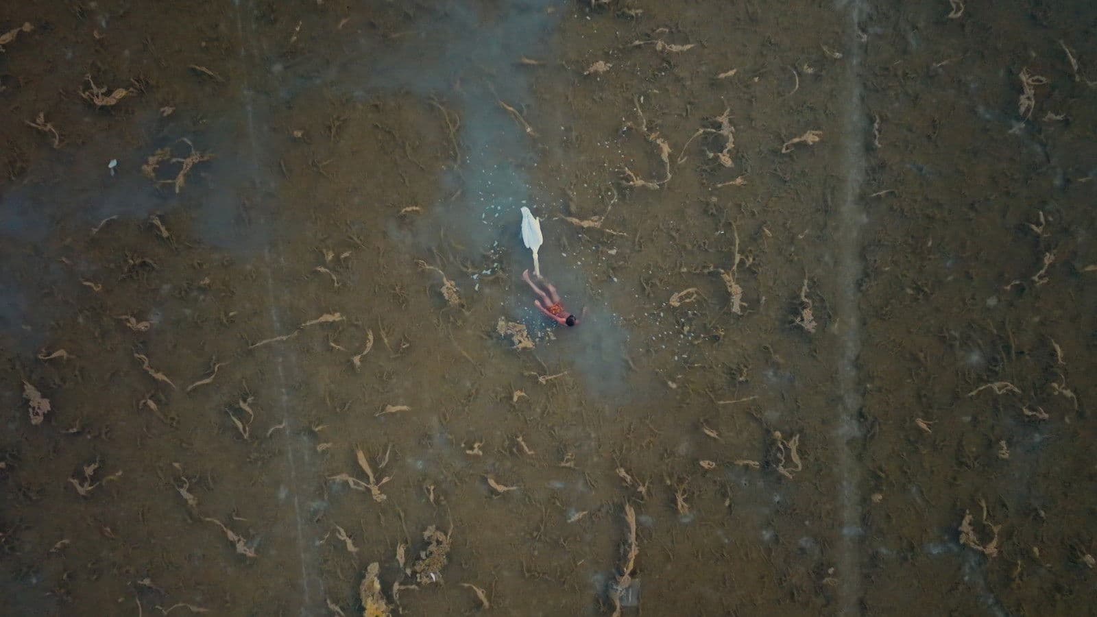 Moklani: The Last Mohanas