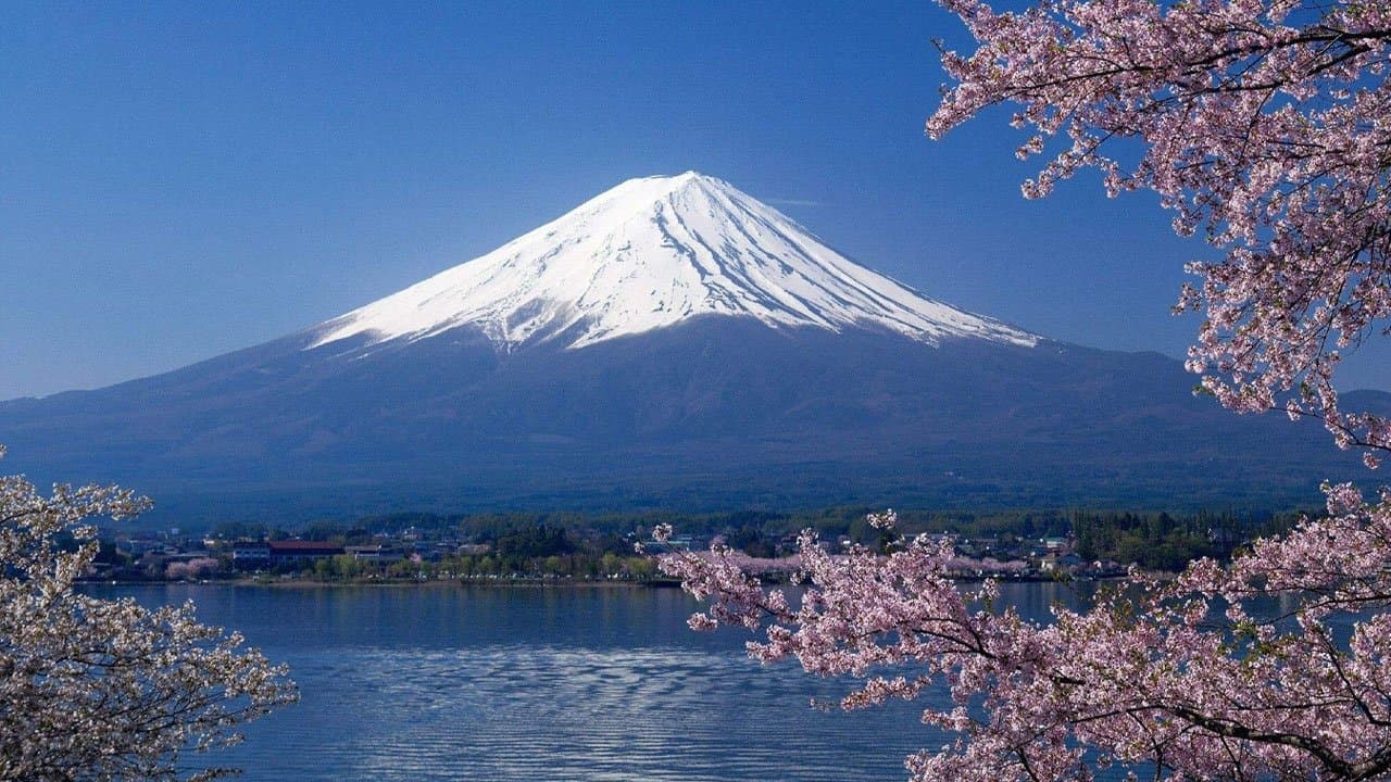 プロフェッショナル 仕事の流儀