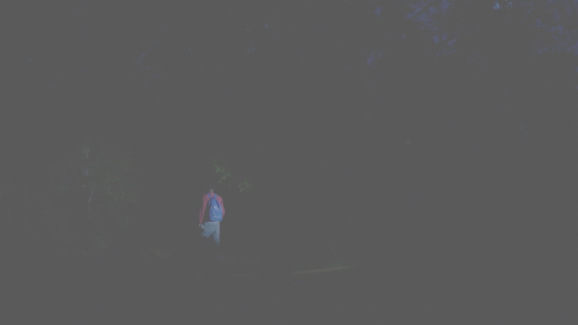 No Conozco la Historia del Fuego