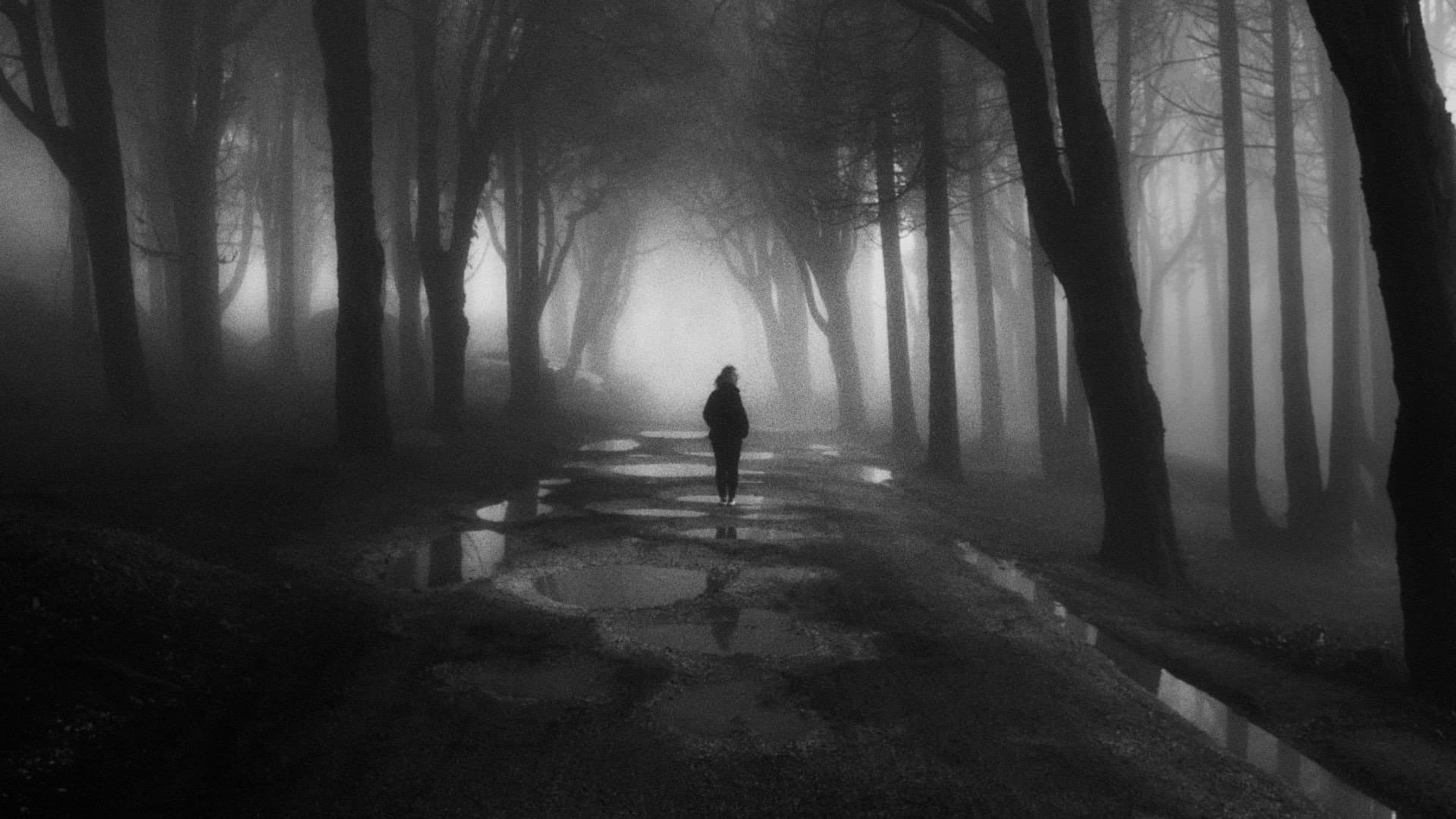 A Kind of Human Story