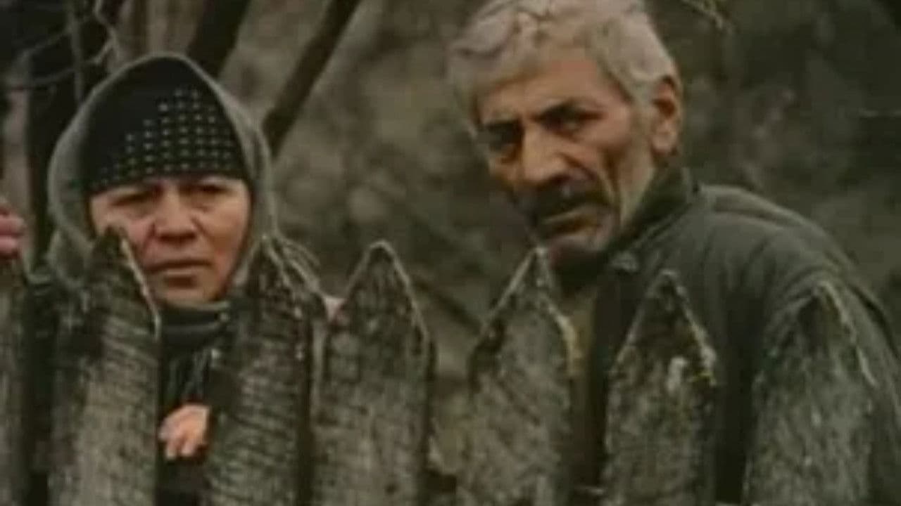 სტუმარი