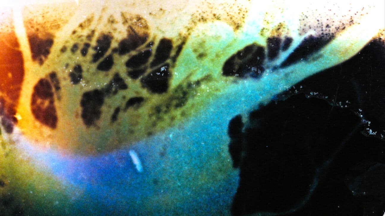 le mirage des mains ultra réalistes