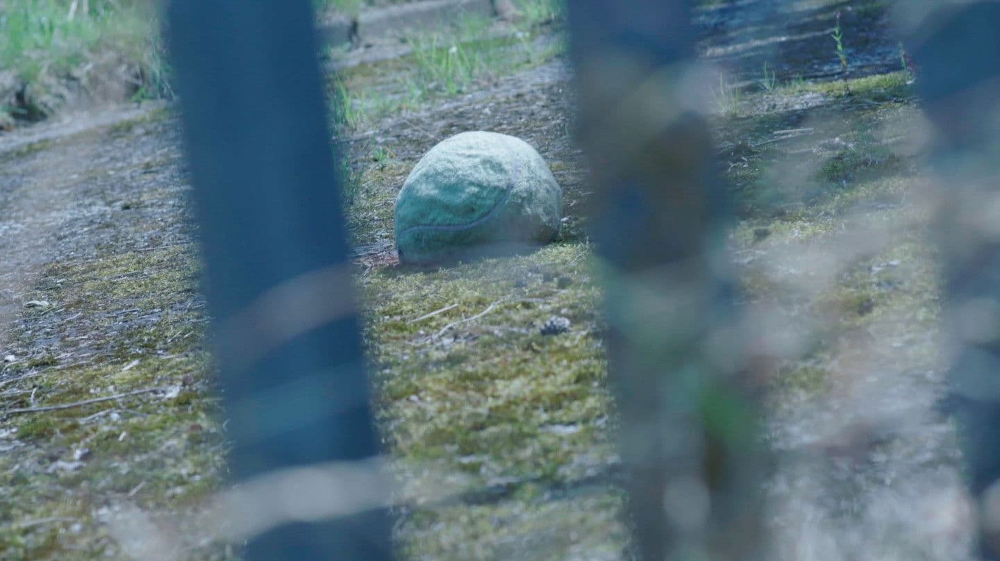 잘 알지도 못하면서