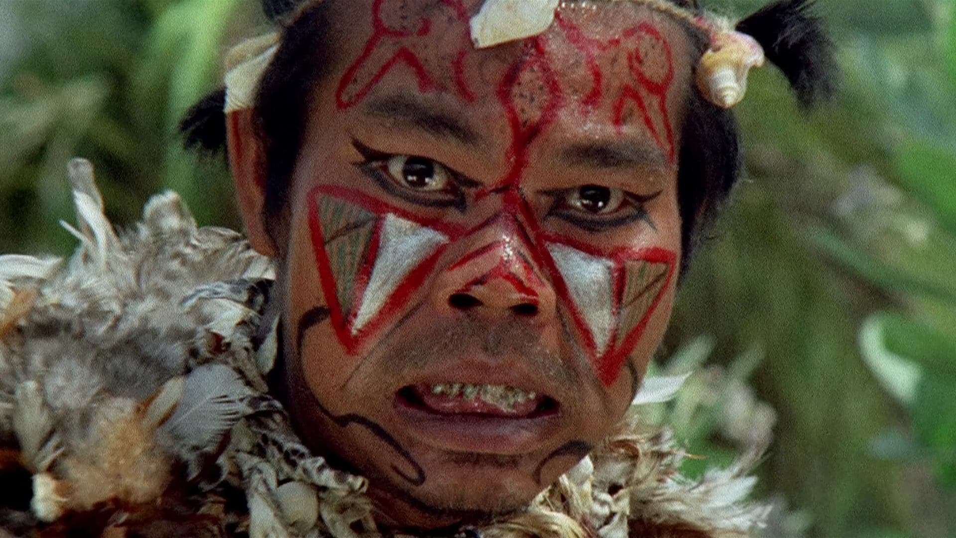 Il paese del sesso selvaggio