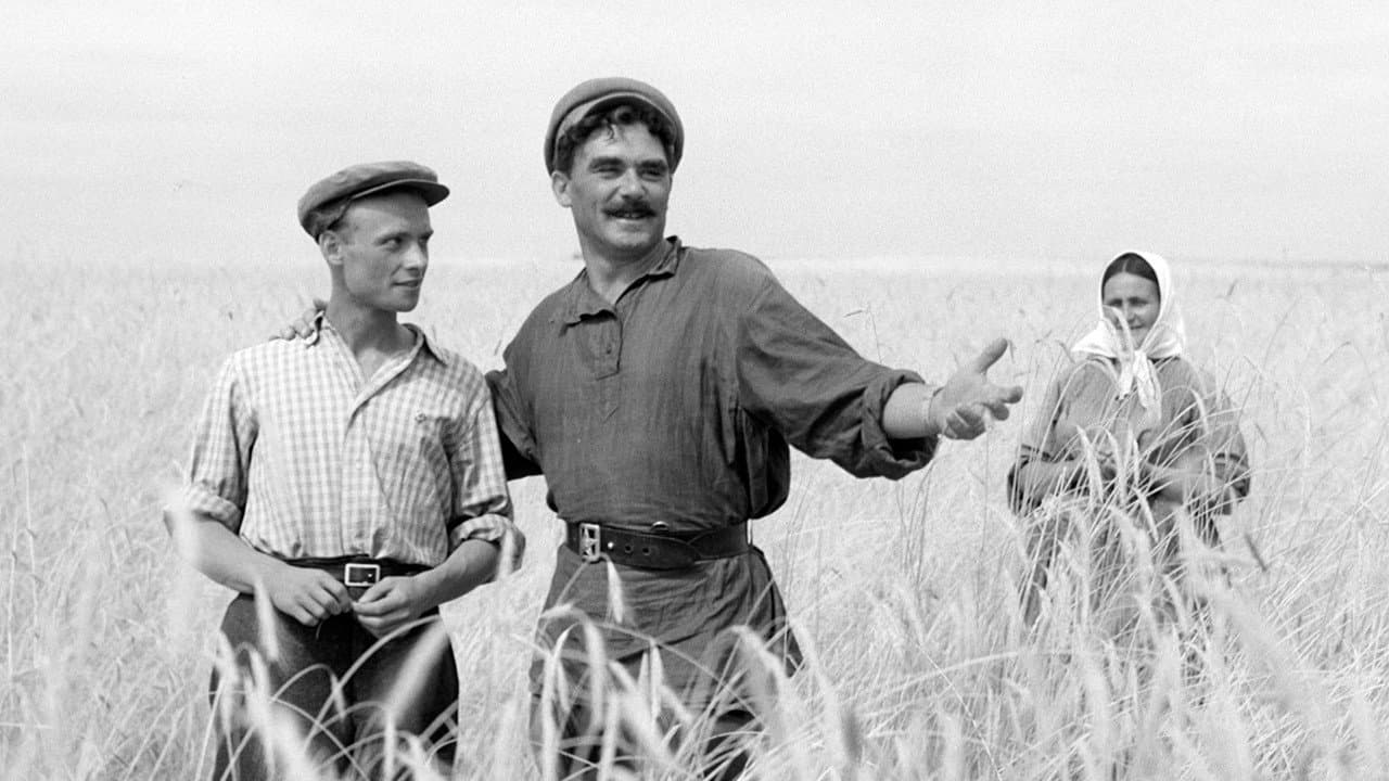 Возвращение Василия Бортникова