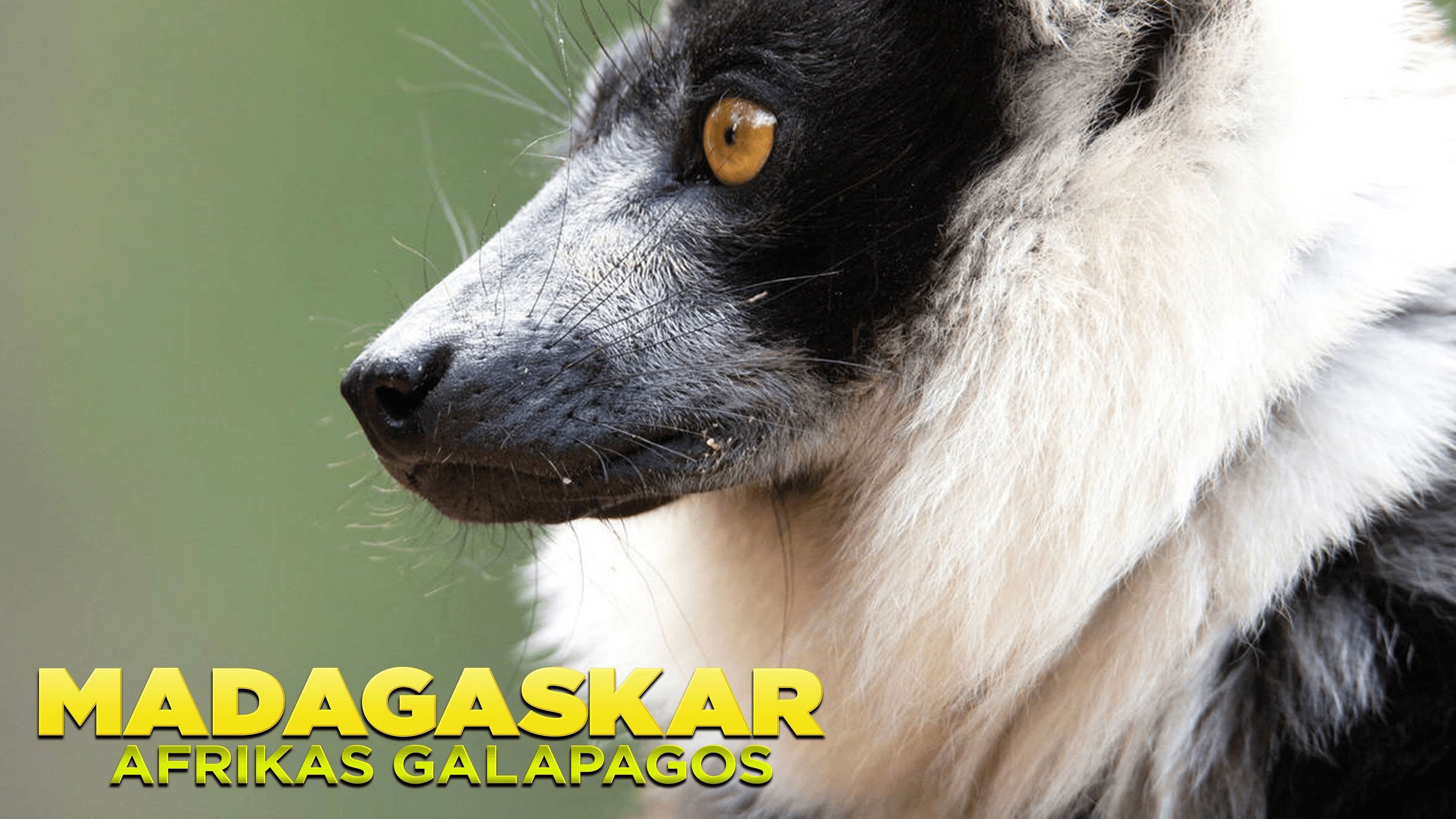Madagascar: Africa's Galapagos